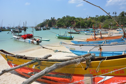 Small fishing boats