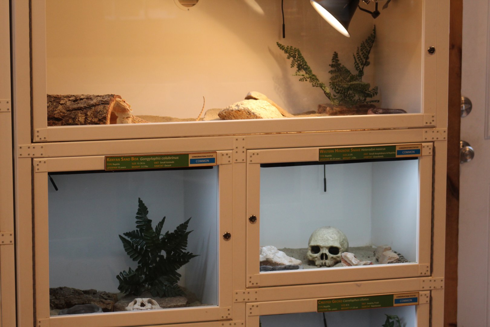 Small Herp Terrariums