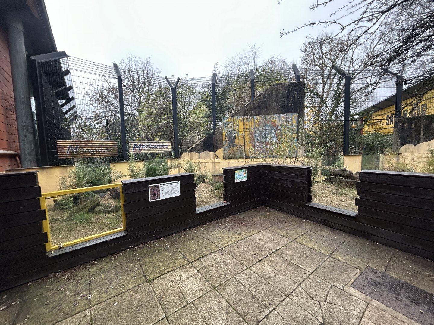 Small Indian Mongoose Exhibit - Land of the Lions