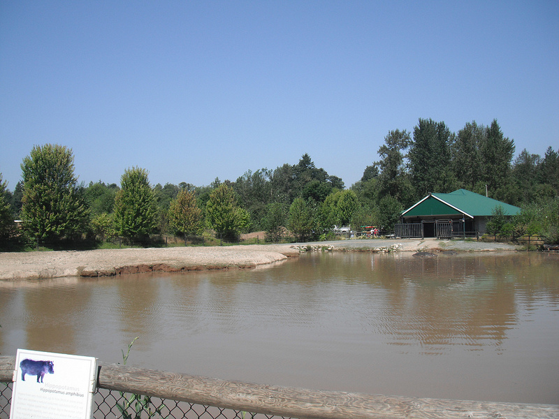 Small lake which happens to contain hippos