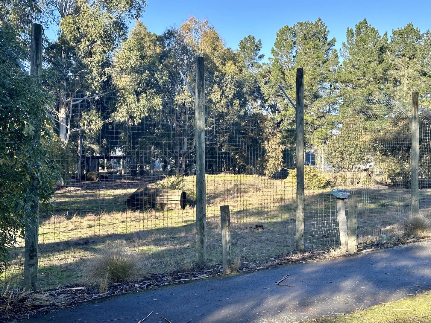 Small Lion Exhibit (Priscilla’s Pride)