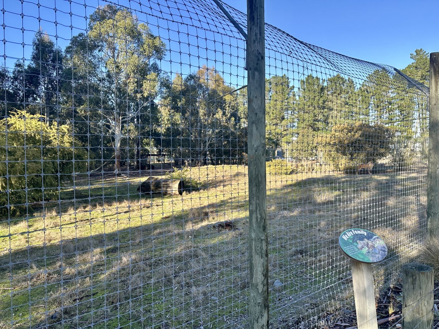 Small Lion Exhibit (Priscilla’s Pride)