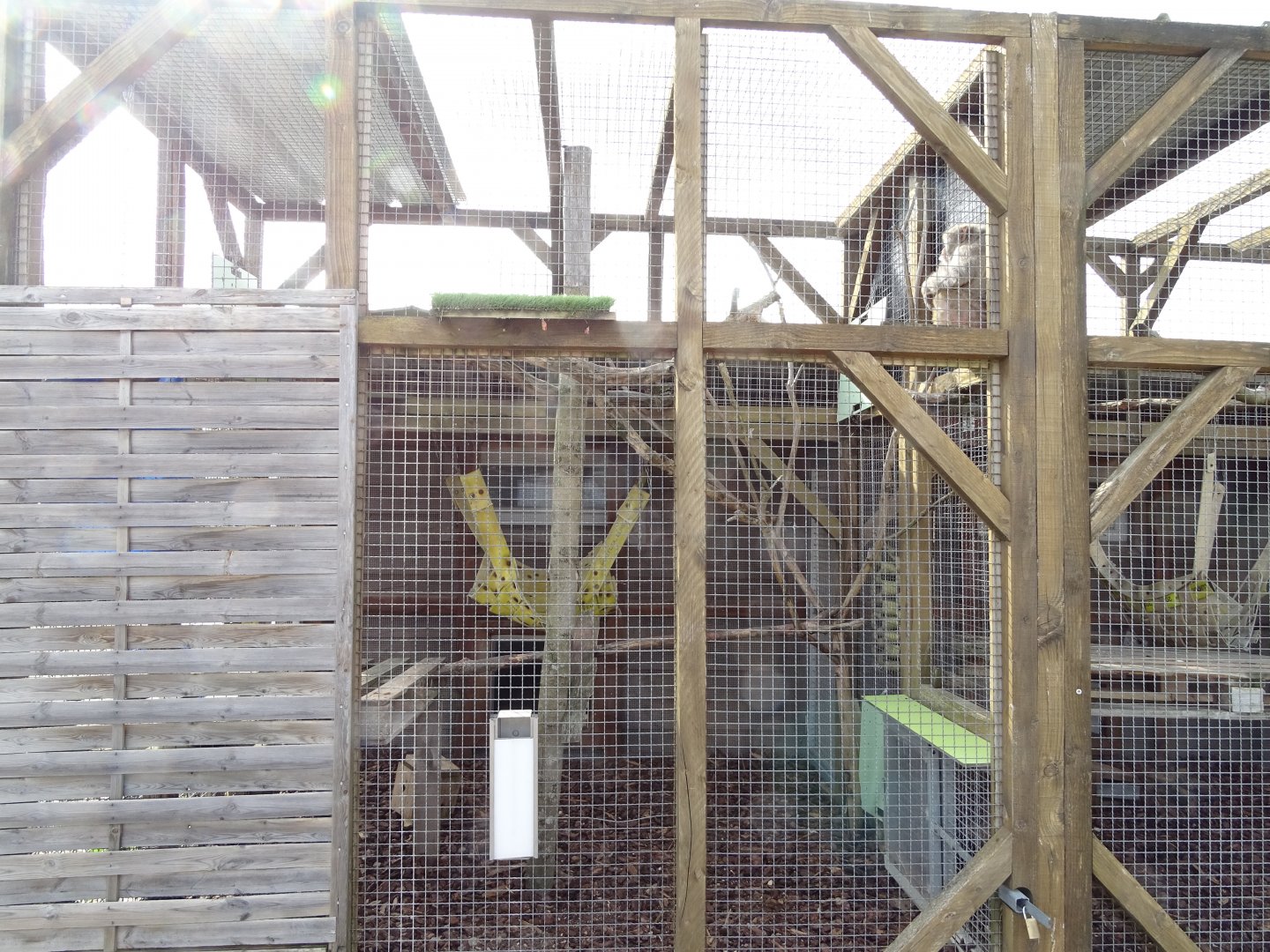 Small macaque aviary