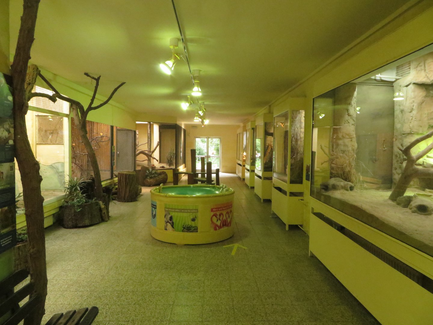 Small mammal and bird house