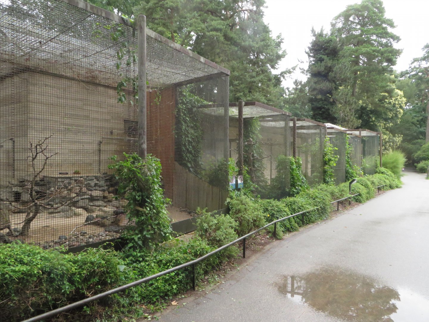 Small mammal and bird house