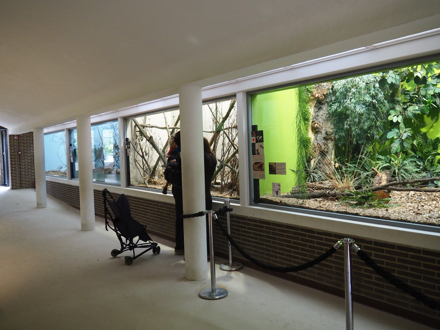 Small mammal and bird wing in the Ape House