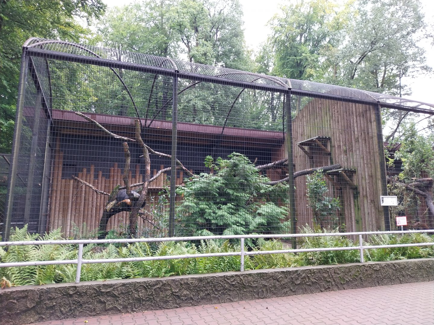 Small Mammal and Nocturnal House - Binturong enclosure