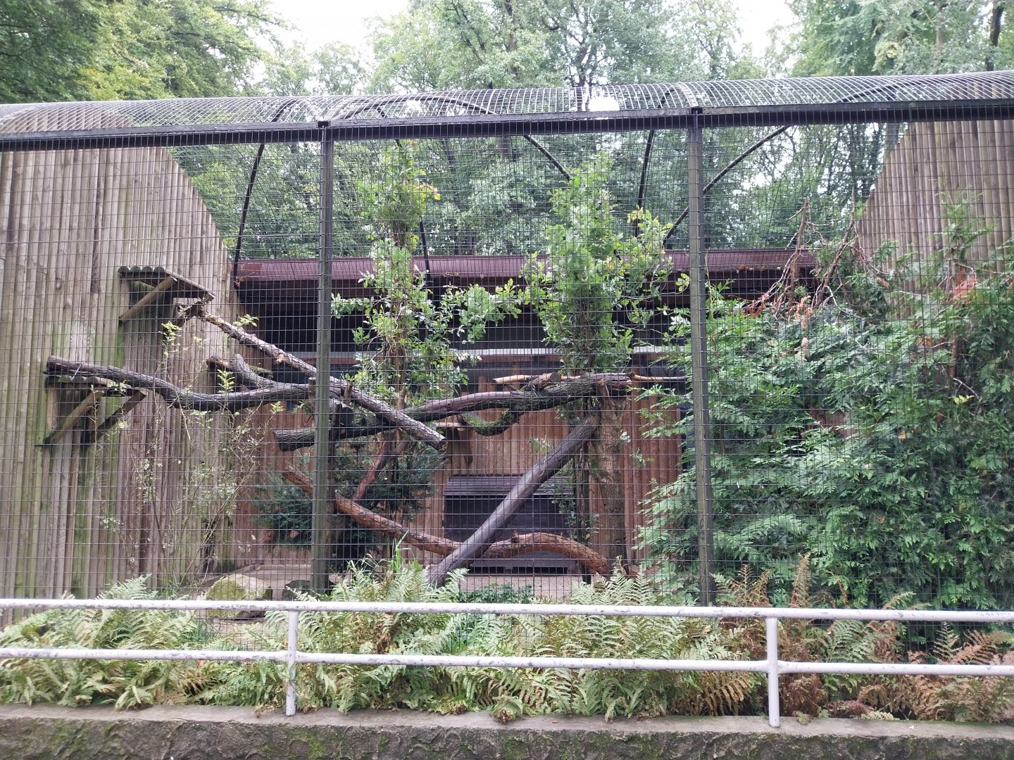 Small Mammal and Nocturnal House - Binturong enclosure