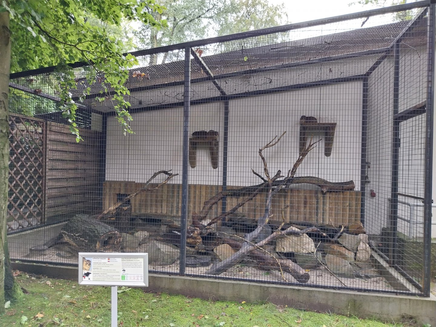 Small Mammal and Nocturnal House - Common Rock Hyrax enclosure