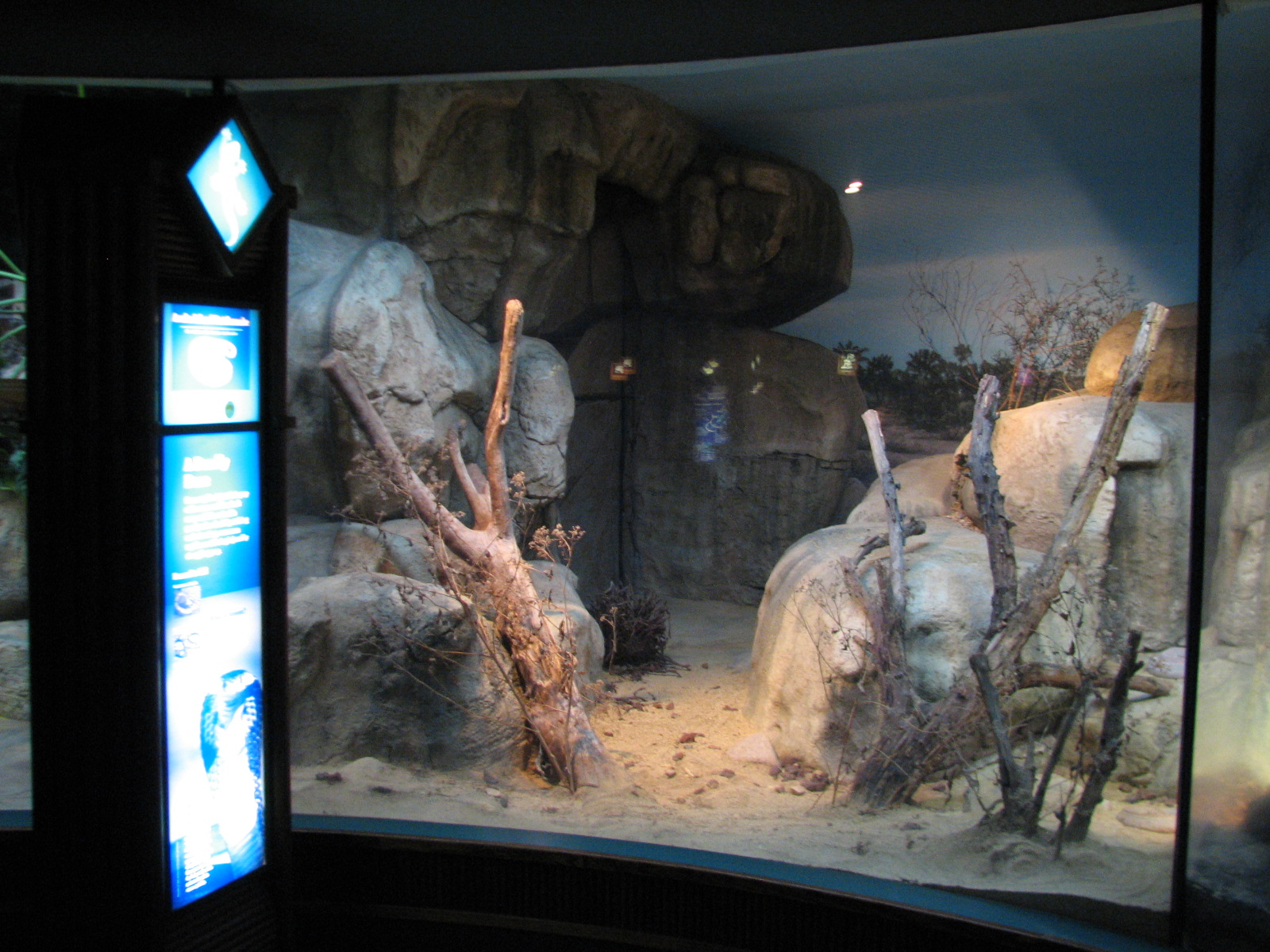 Small Mammal and Reptile House - Aruba Island Rattlesnake Exhibit