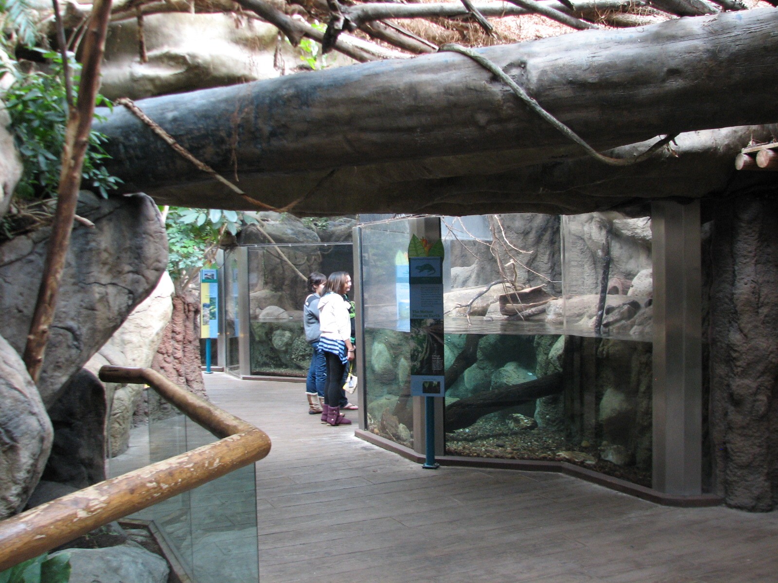 Small Mammal and Reptile House - Asian Small-clawed Otter and Prevosts Squi