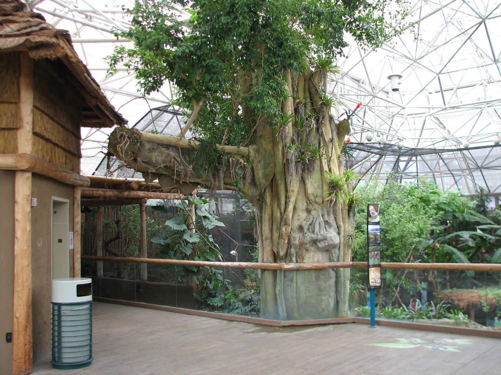Small Mammal and Reptile House - Balcony