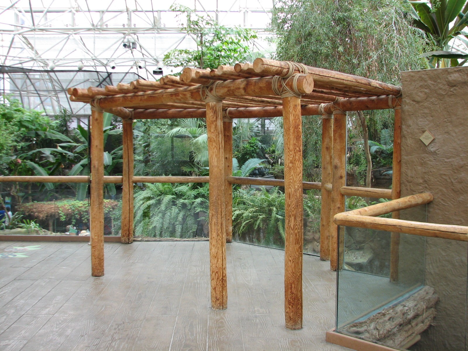 Small Mammal and Reptile House - Balcony