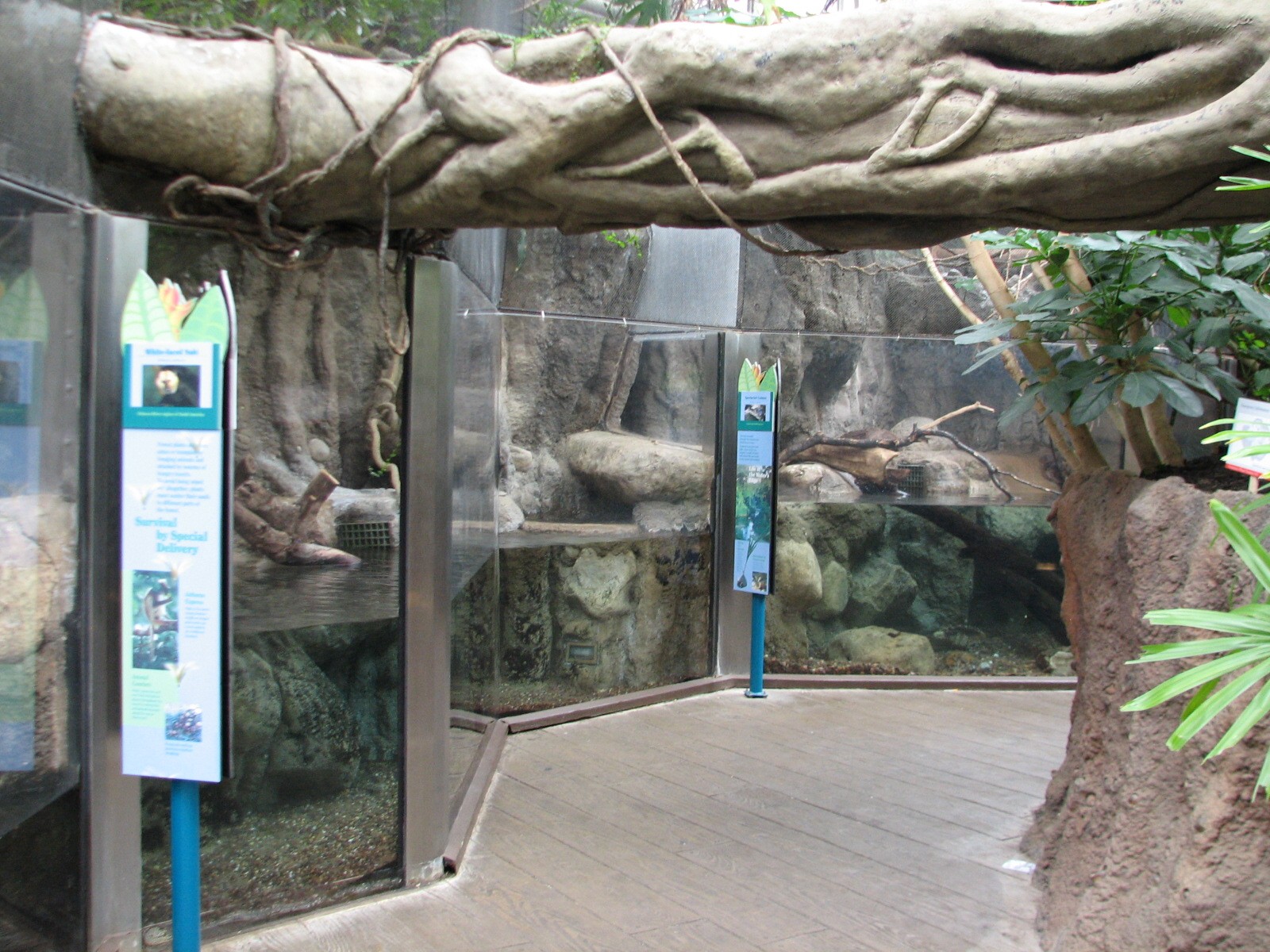 Small Mammal and Reptile House - Exhibit Path