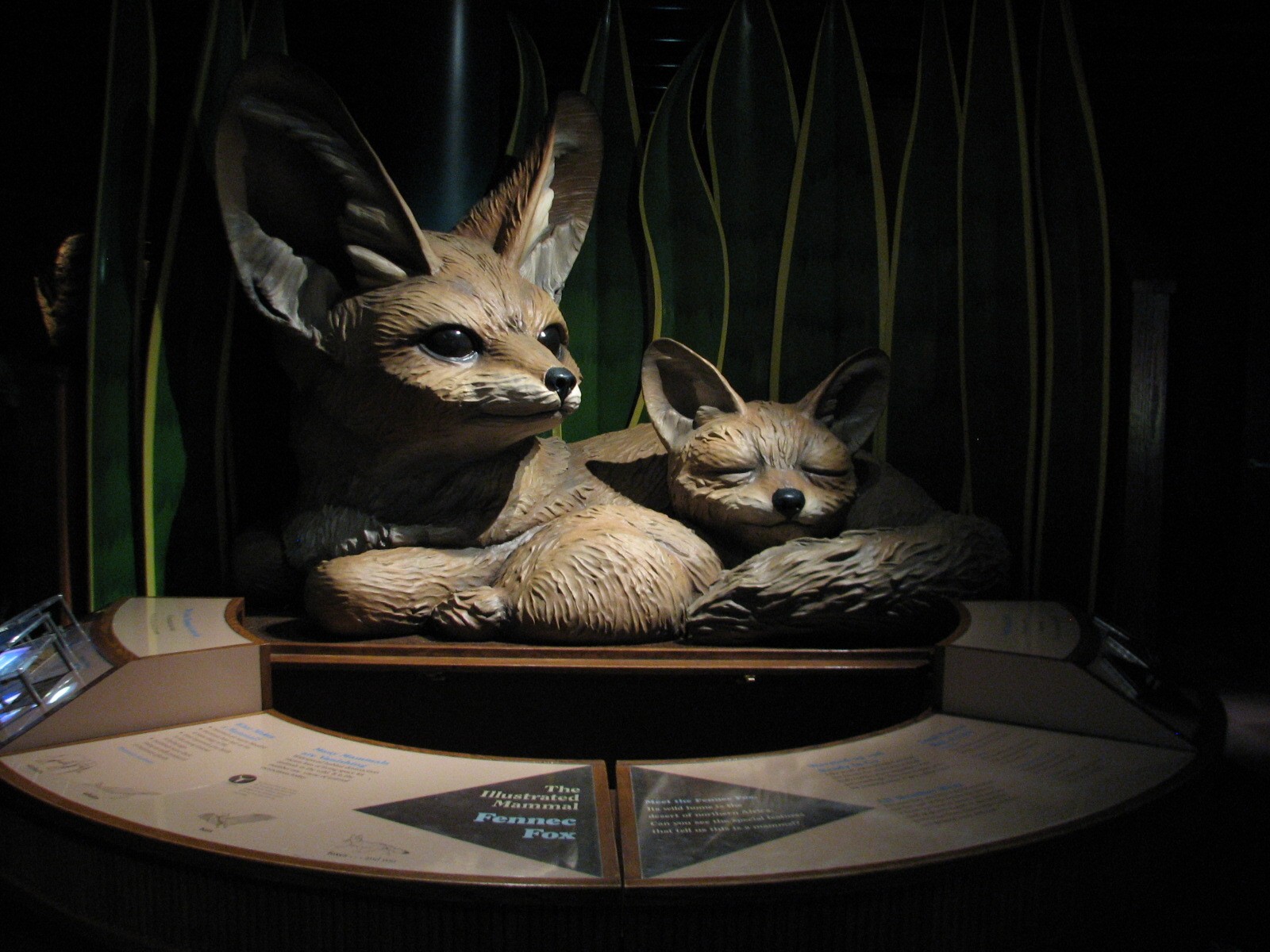 Small Mammal and Reptile House - Fennec Model