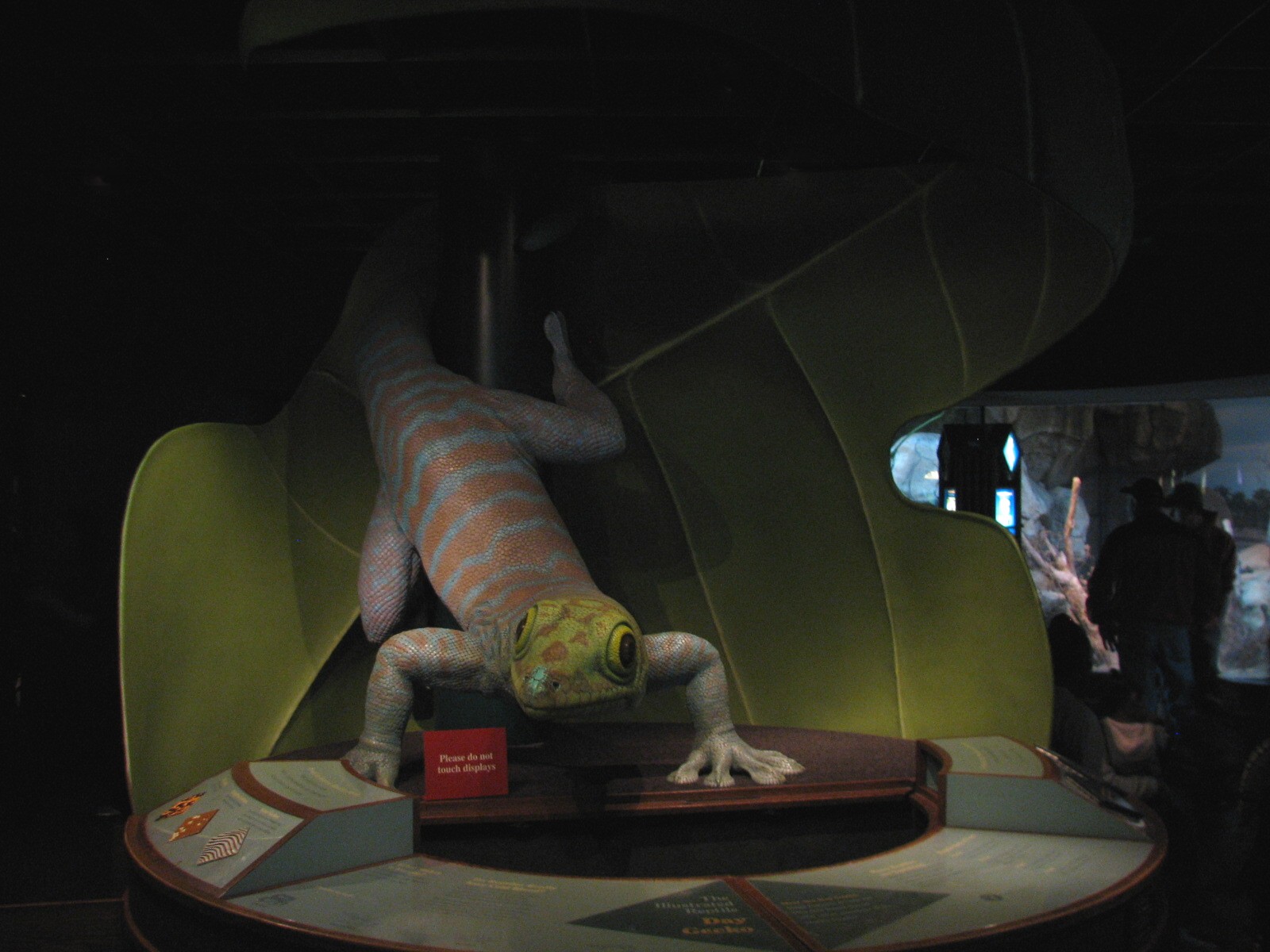 Small Mammal and Reptile House - Gecko Model