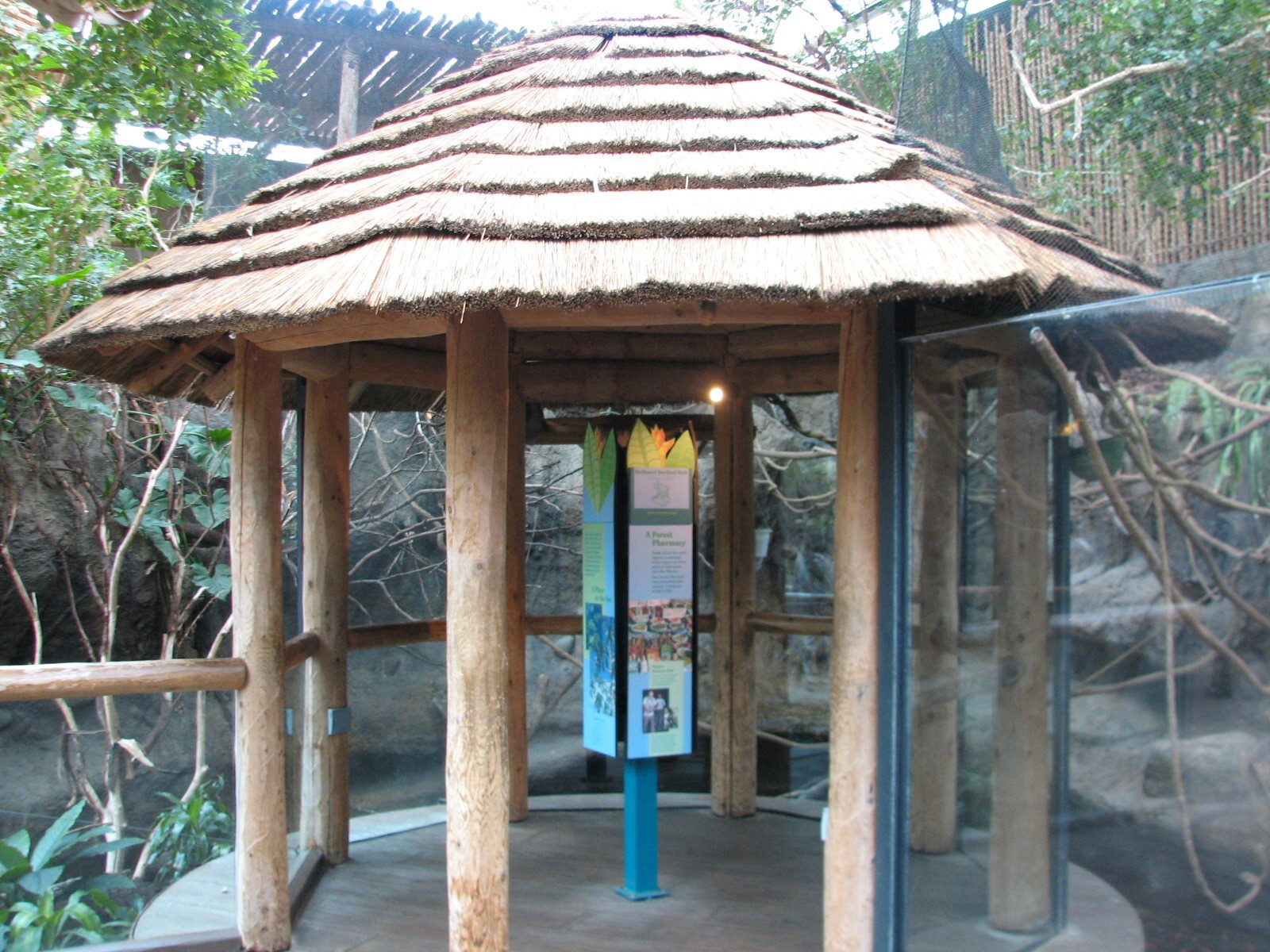 Small Mammal and Reptile House - Hoffmans Two-toed Sloth and Cottontop Tama