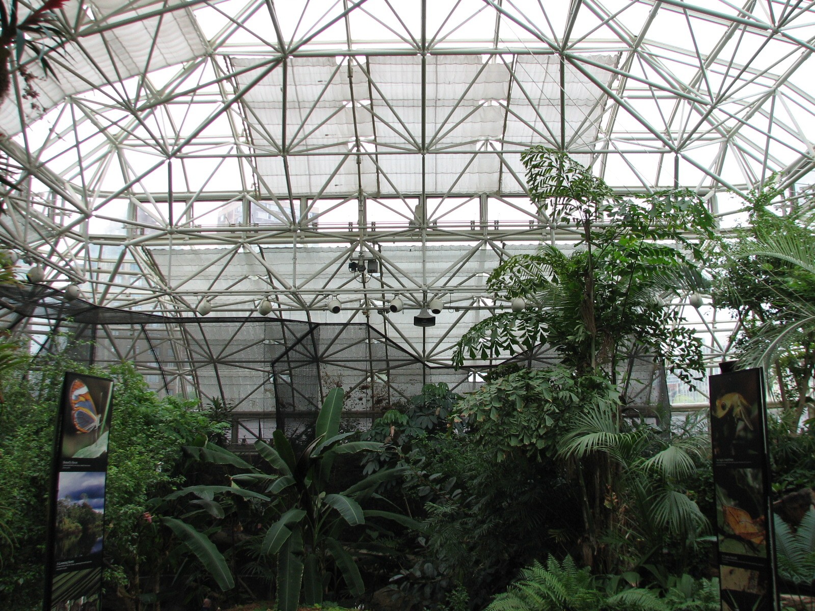Small Mammal and Reptile House - Interior View