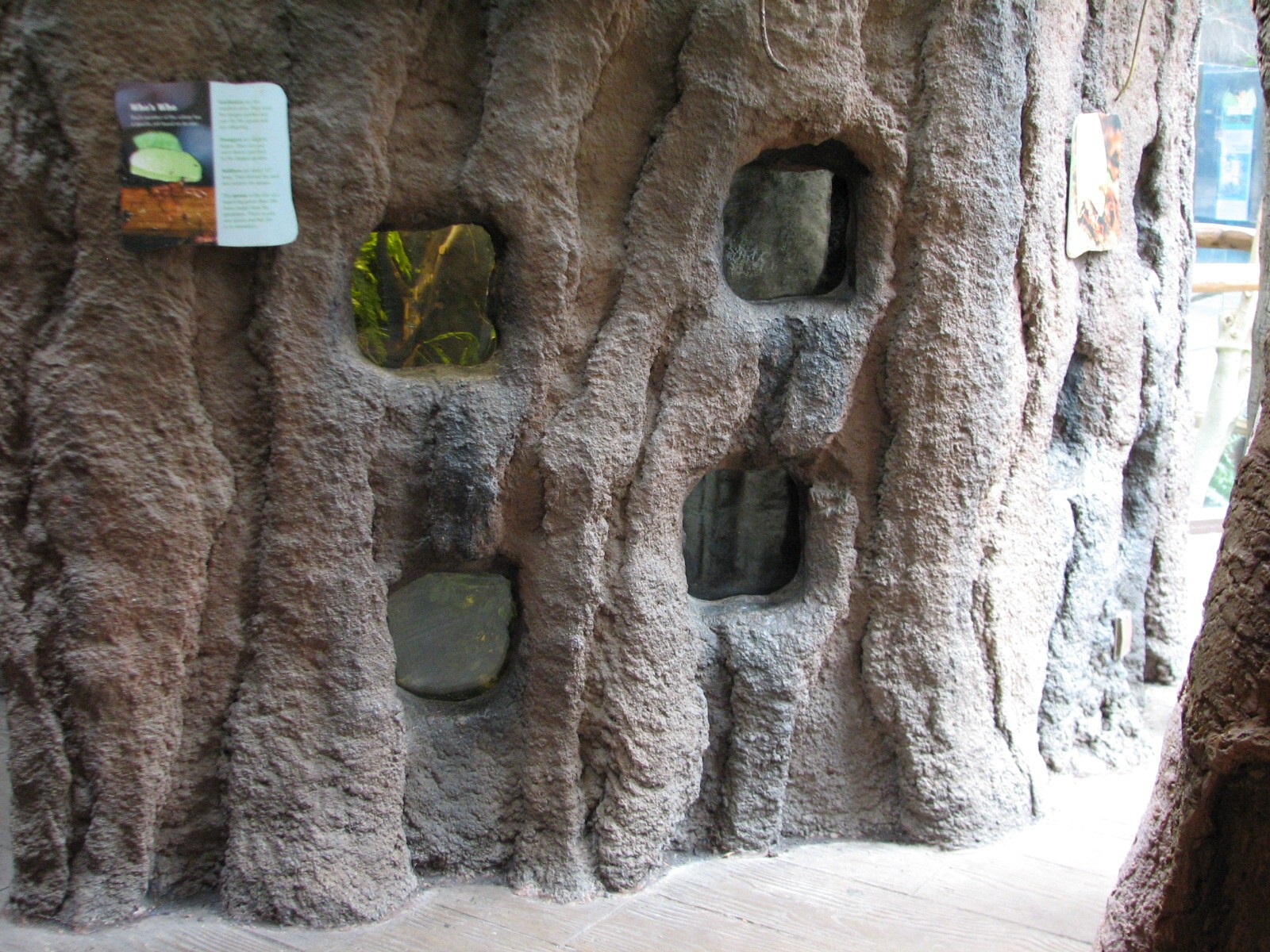 Small Mammal and Reptile House - Leafcutter Ant Exhibit