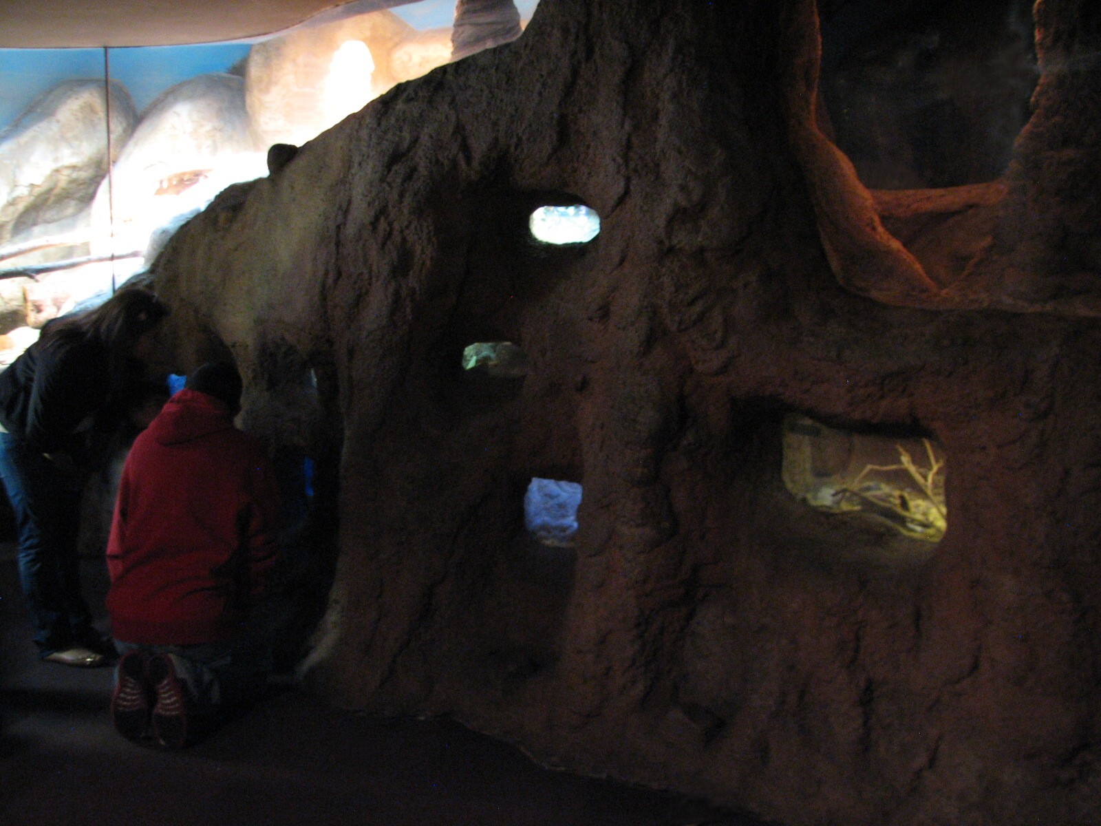 Small Mammal and Reptile House - Naked Mole Rat and Kenyan Sand Boa Exhibit