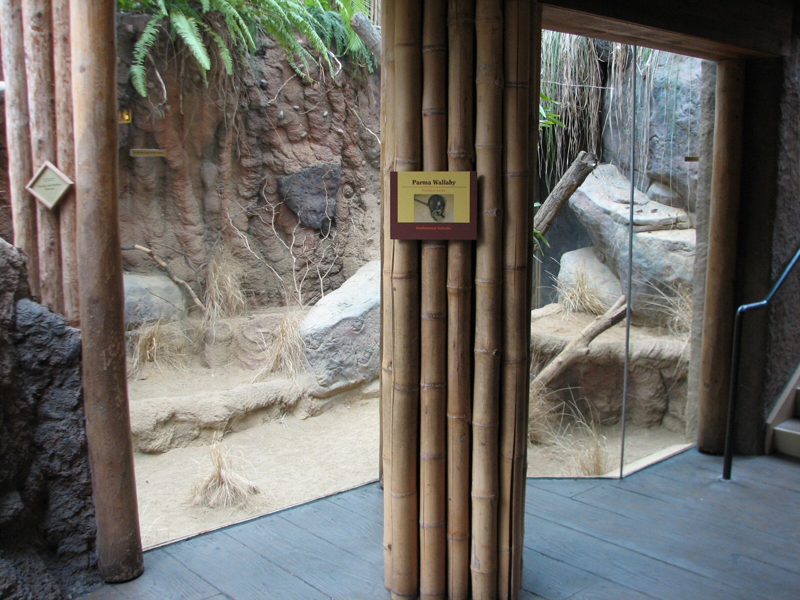 Small Mammal and Reptile House - Parma Wallaby Exhibit