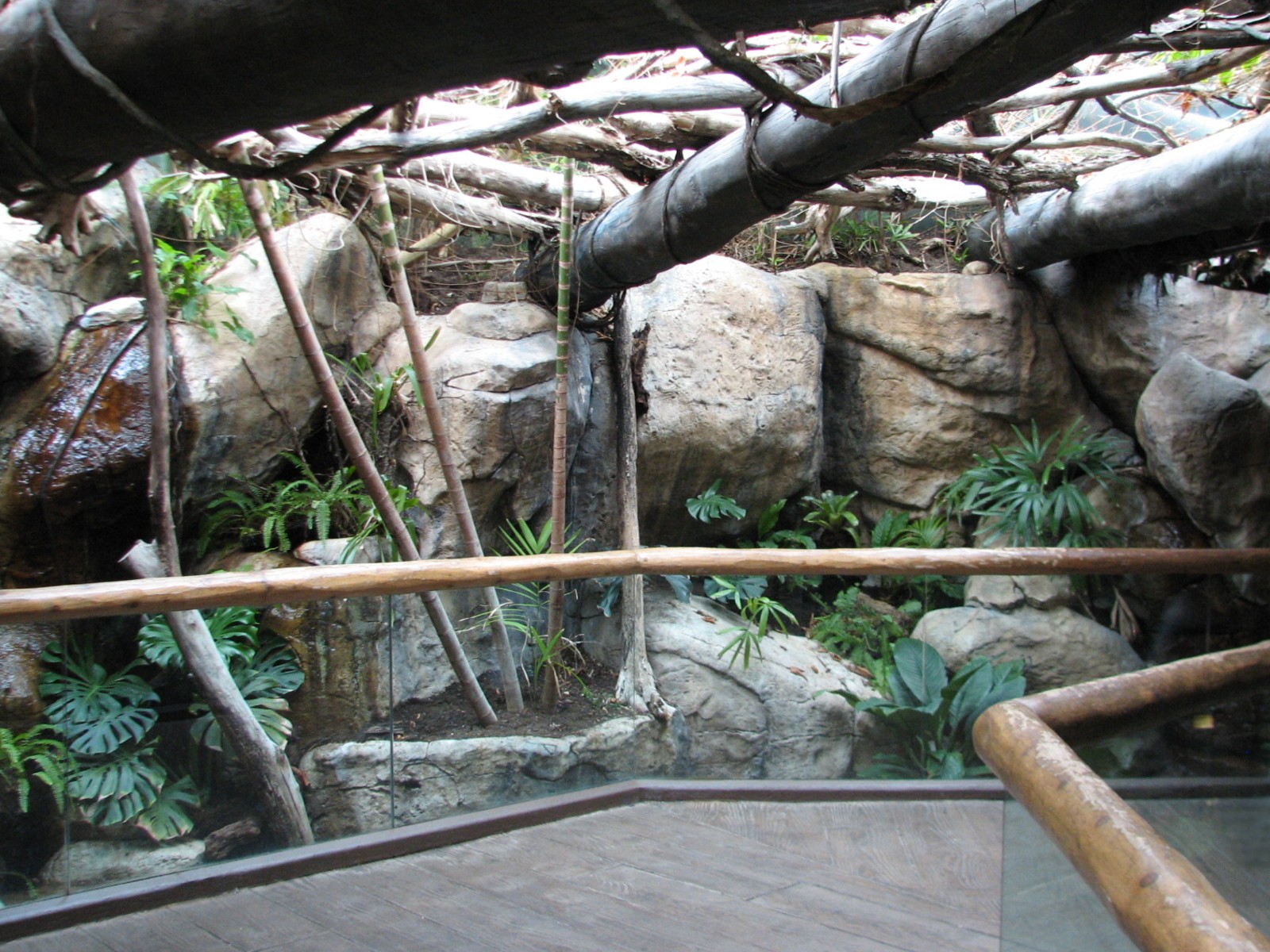 Small Mammal and Reptile House - Path