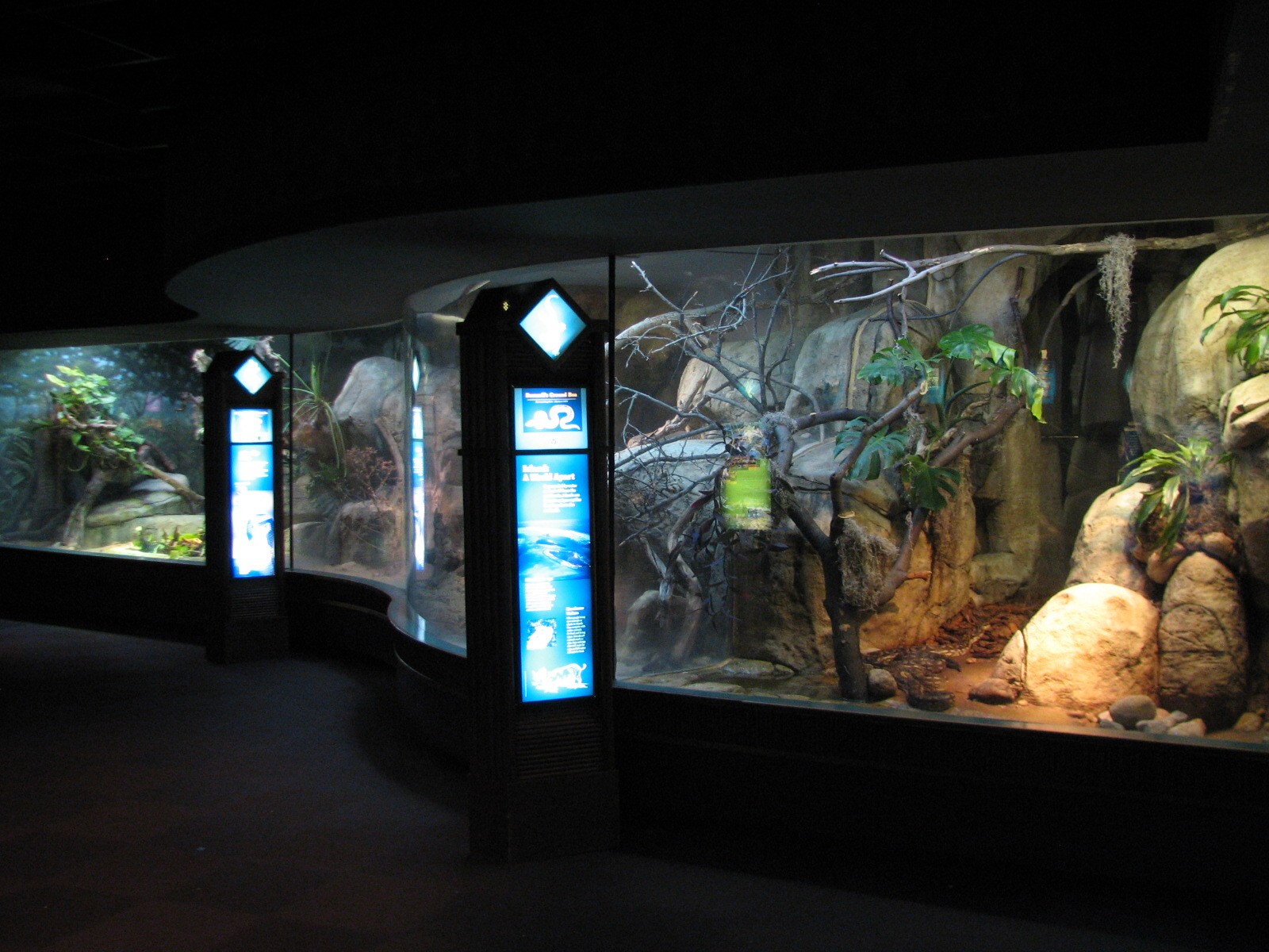 Small Mammal and Reptile House - Reptile Exhibits