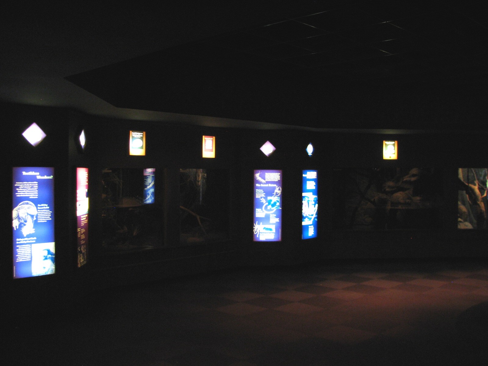 Small Mammal and Reptile House - Small Mammal Wall Exhibits