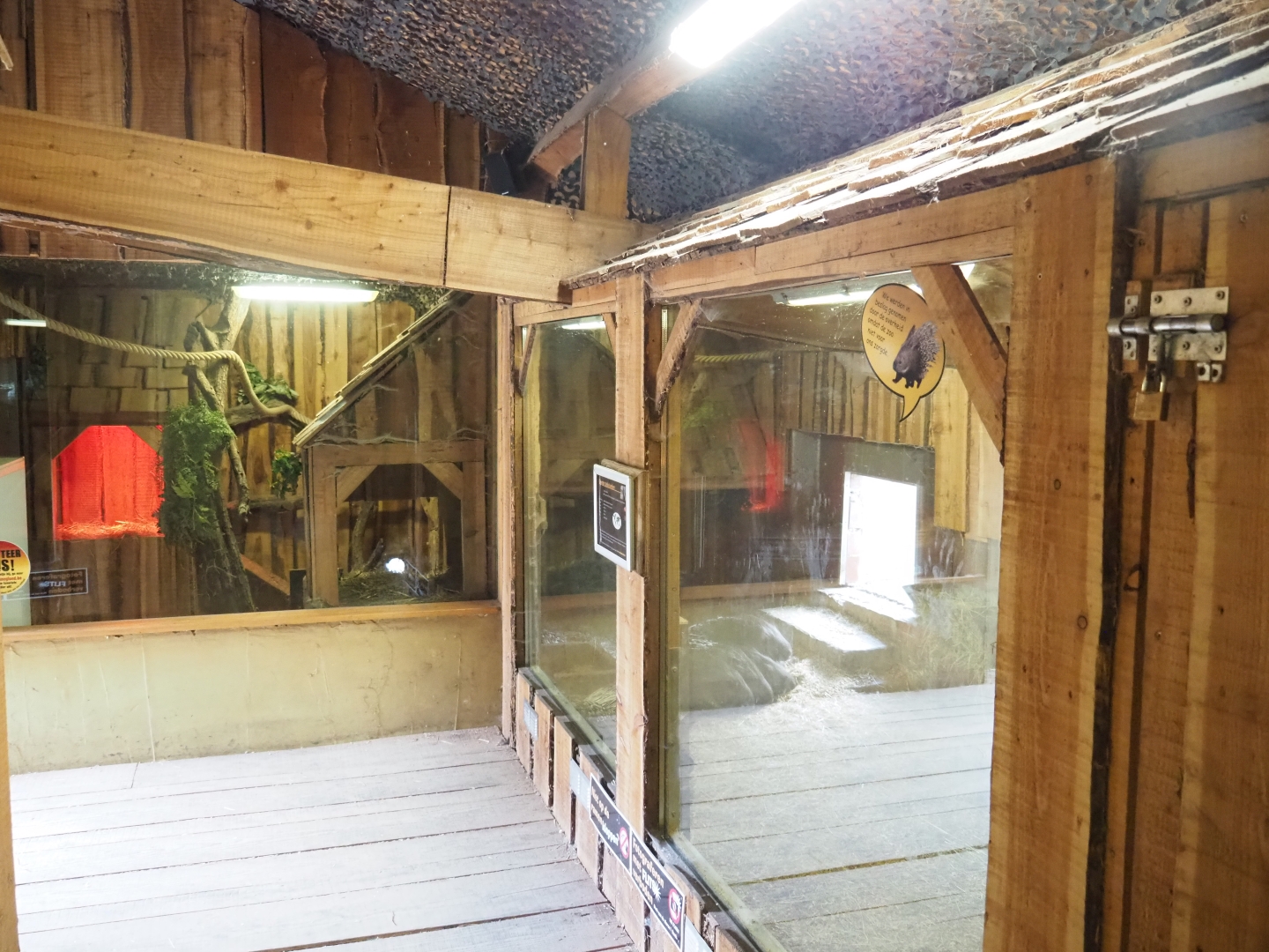Small mammal barn - Porcupine and Herpestidae indoor housing