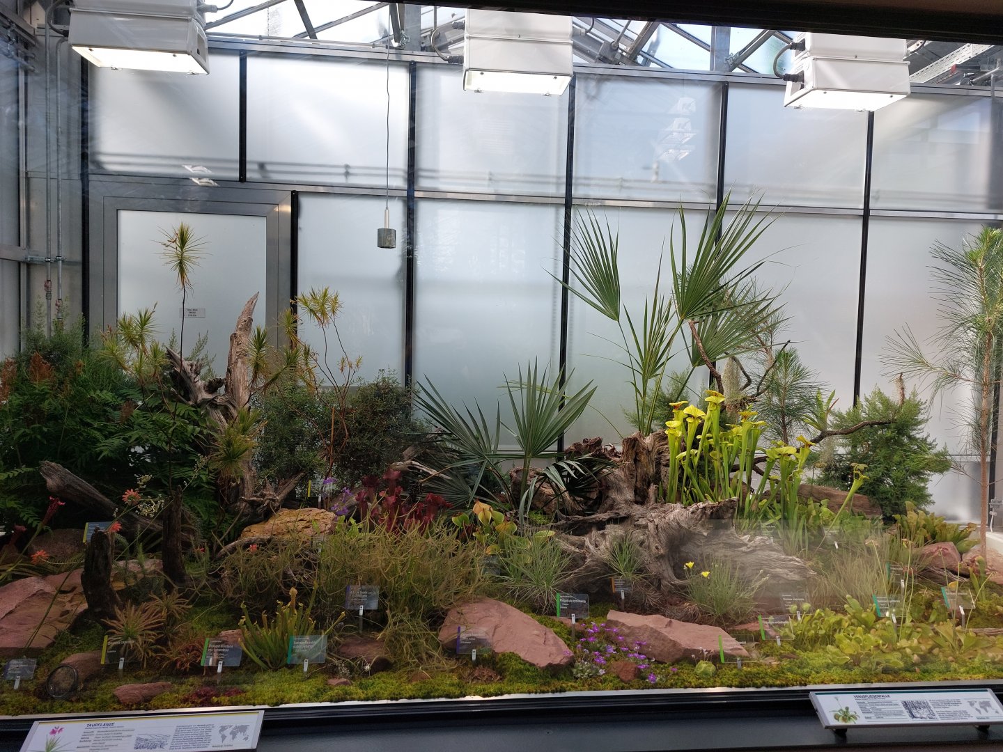 Small mammal & bird house - carnivorous plants