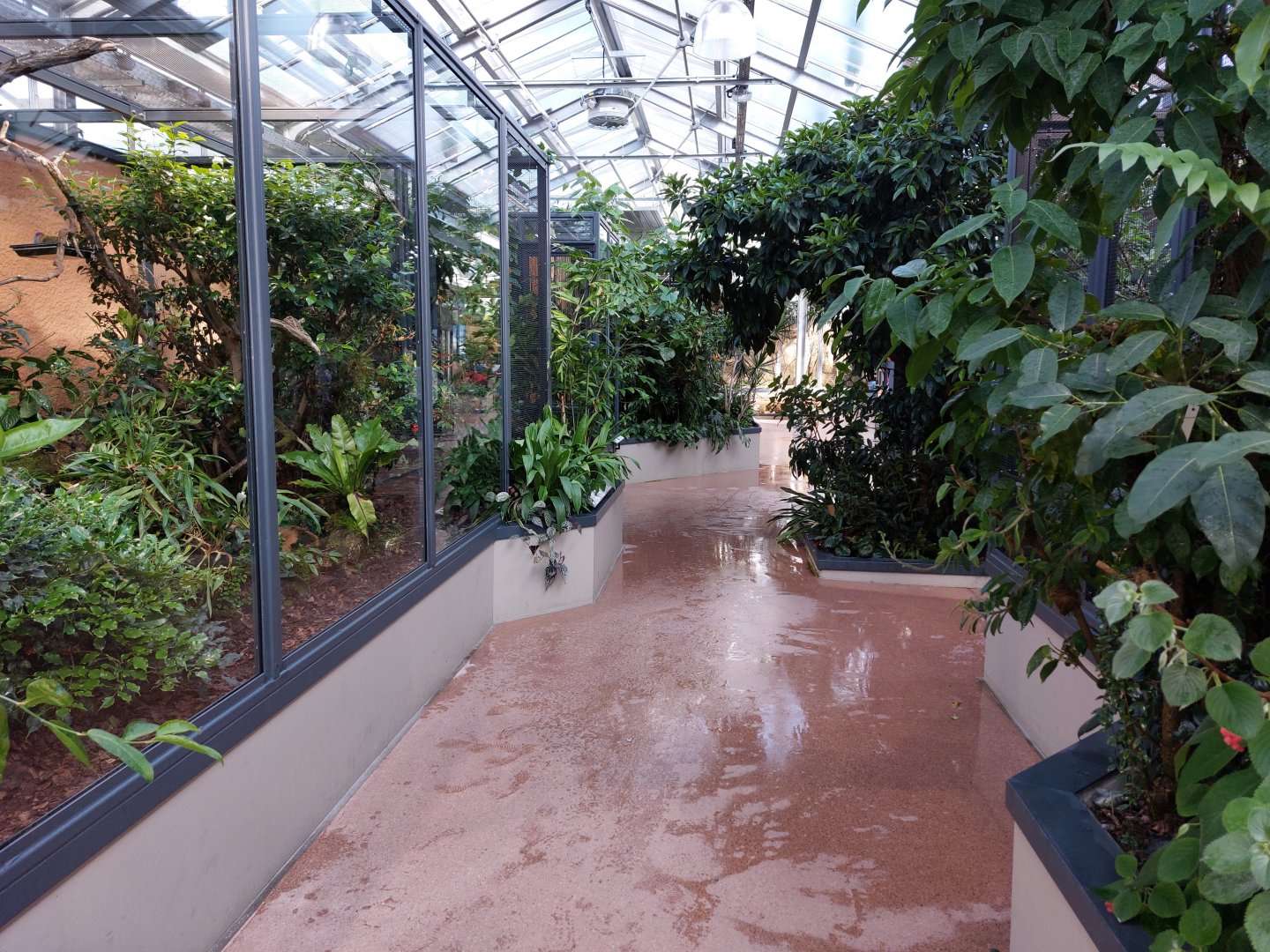 Small mammal & bird house - general view