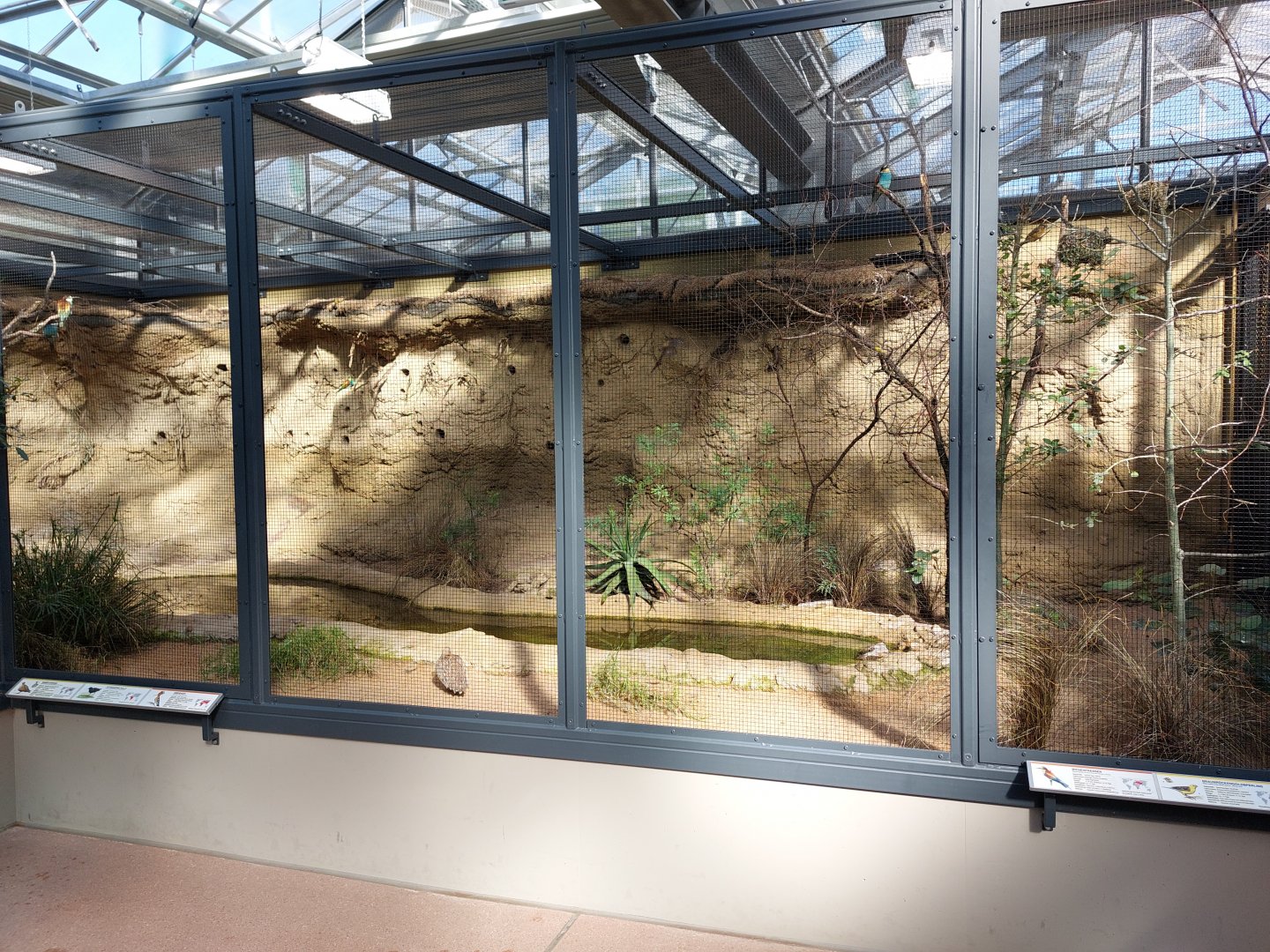 Small mammal & bird house - Larger Africam aviary