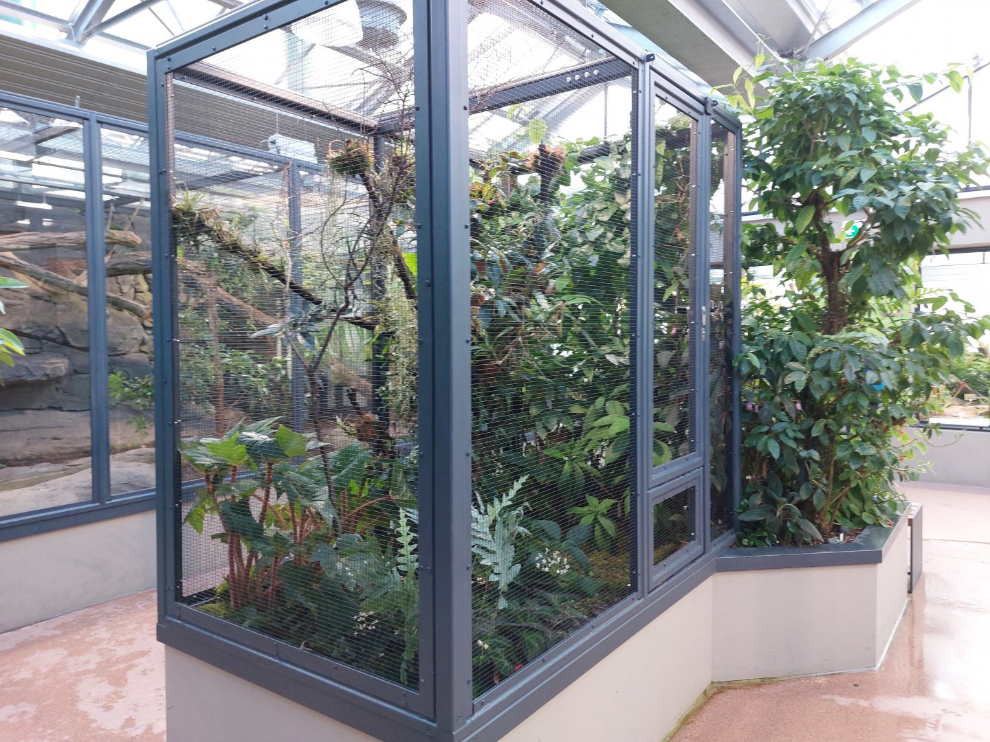 Small mammal & bird house - Red-legged honeycreeper