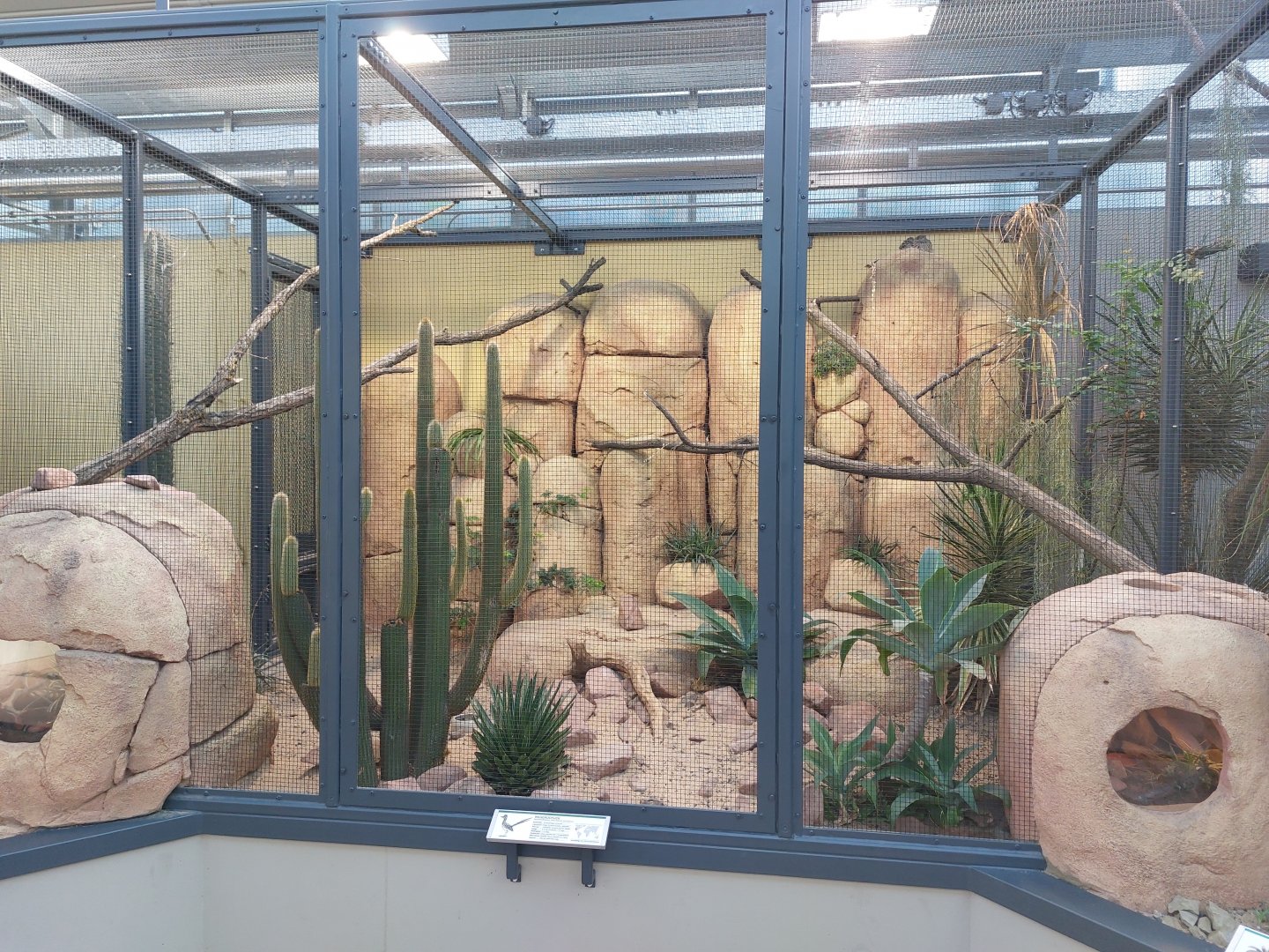 Small mammal & bird house - Roadrunner aviary