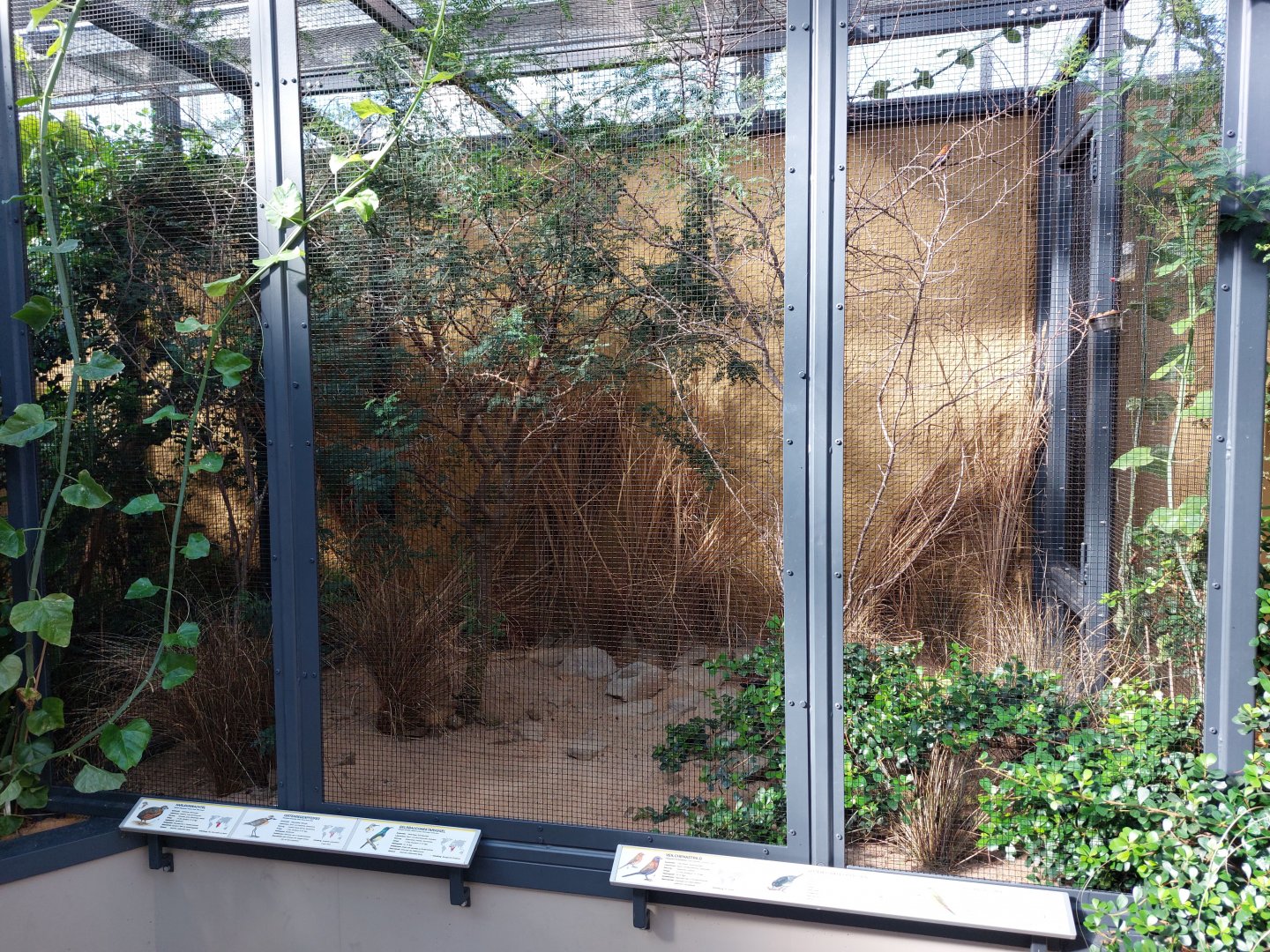 Small mammal & bird house - Smaller African bird aviary