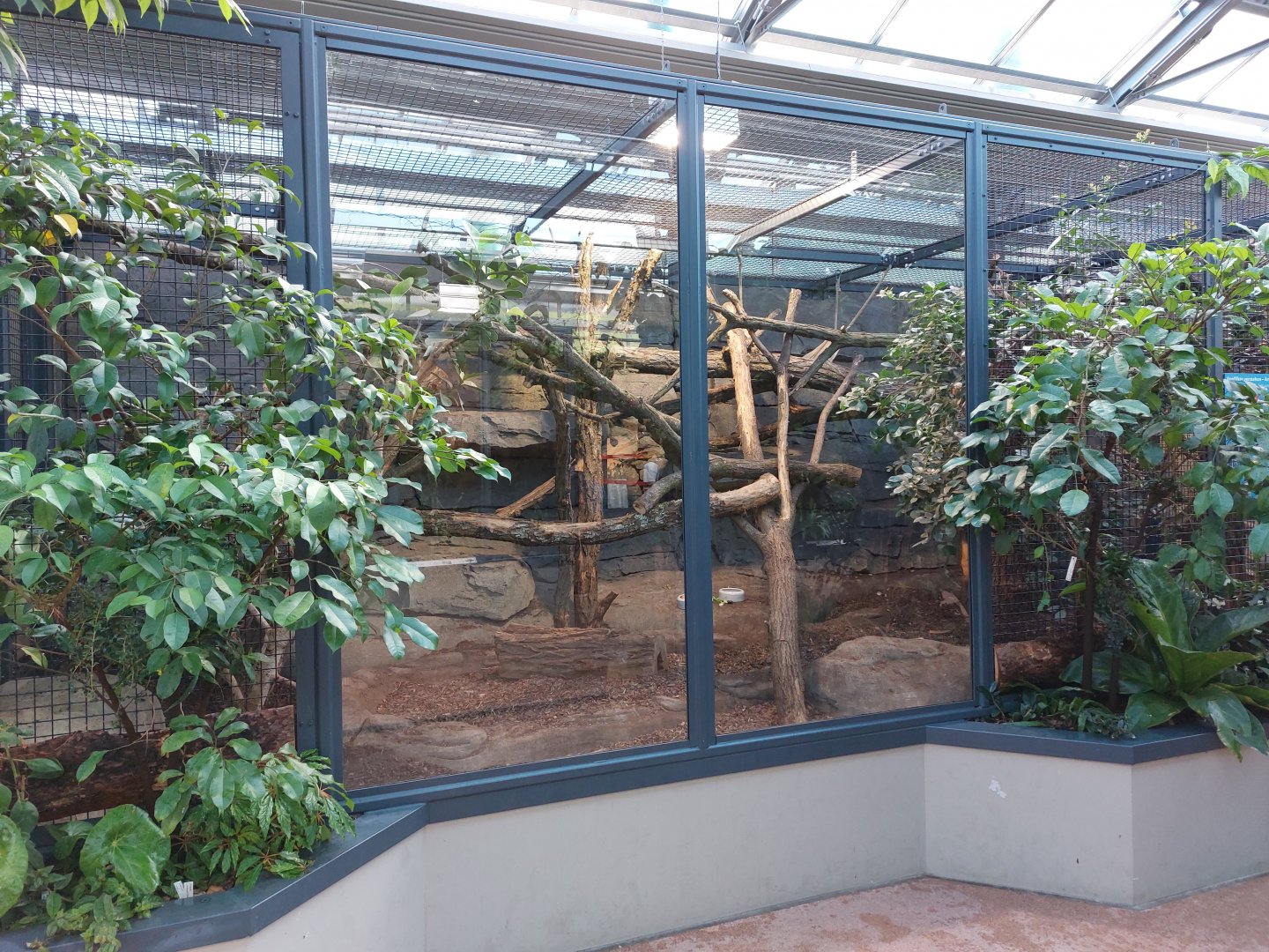 Small mammal & bird house - Tamandua and armadillo