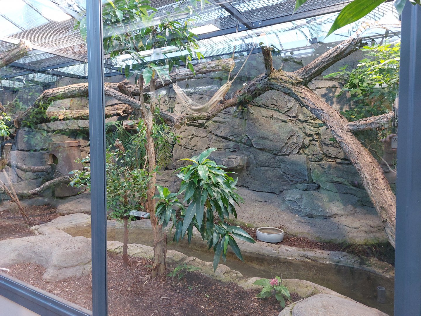 Small mammal & bird house - Tamandua & armadillo