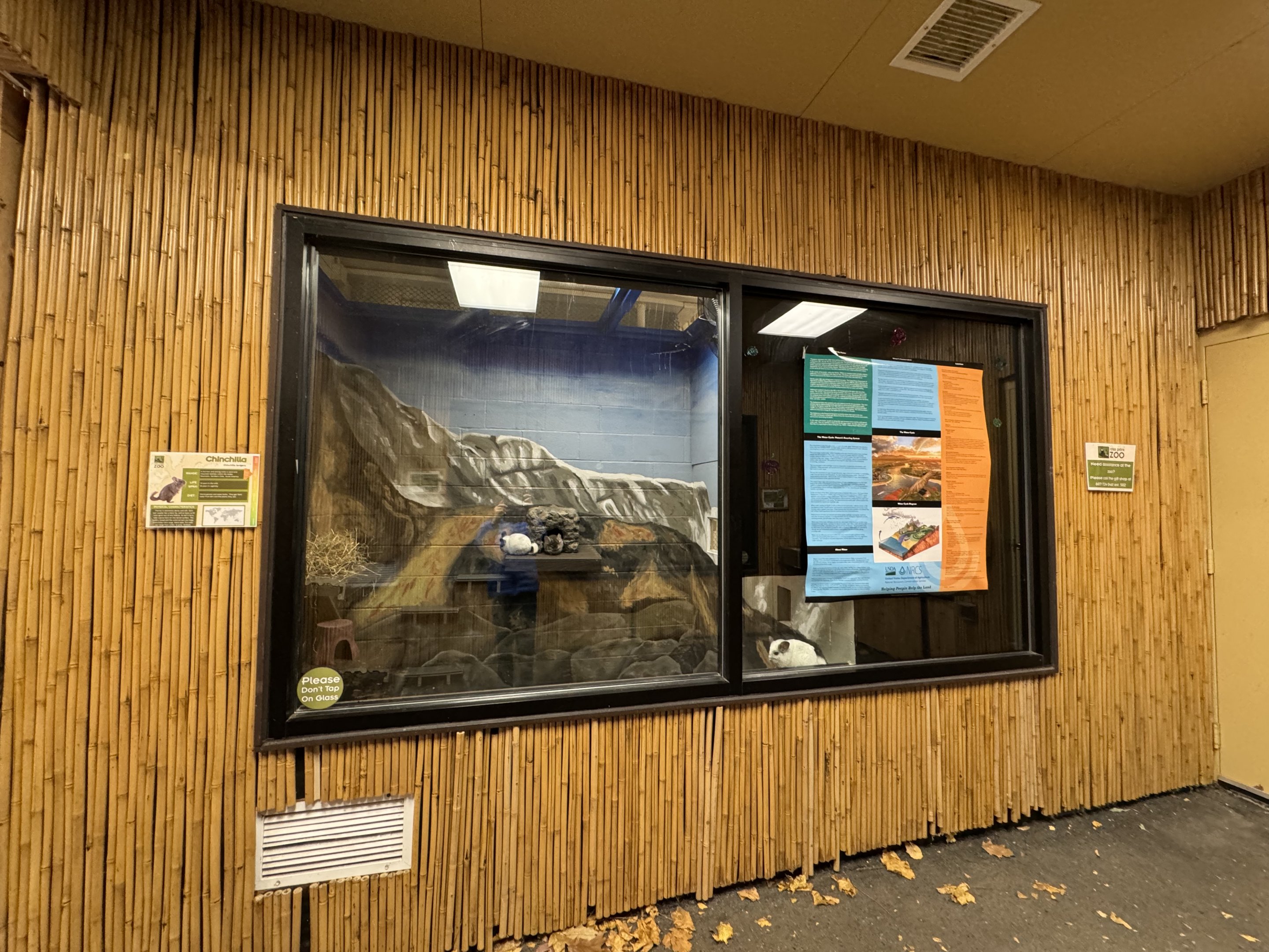 Small mammal building - Chinchilla exhibit