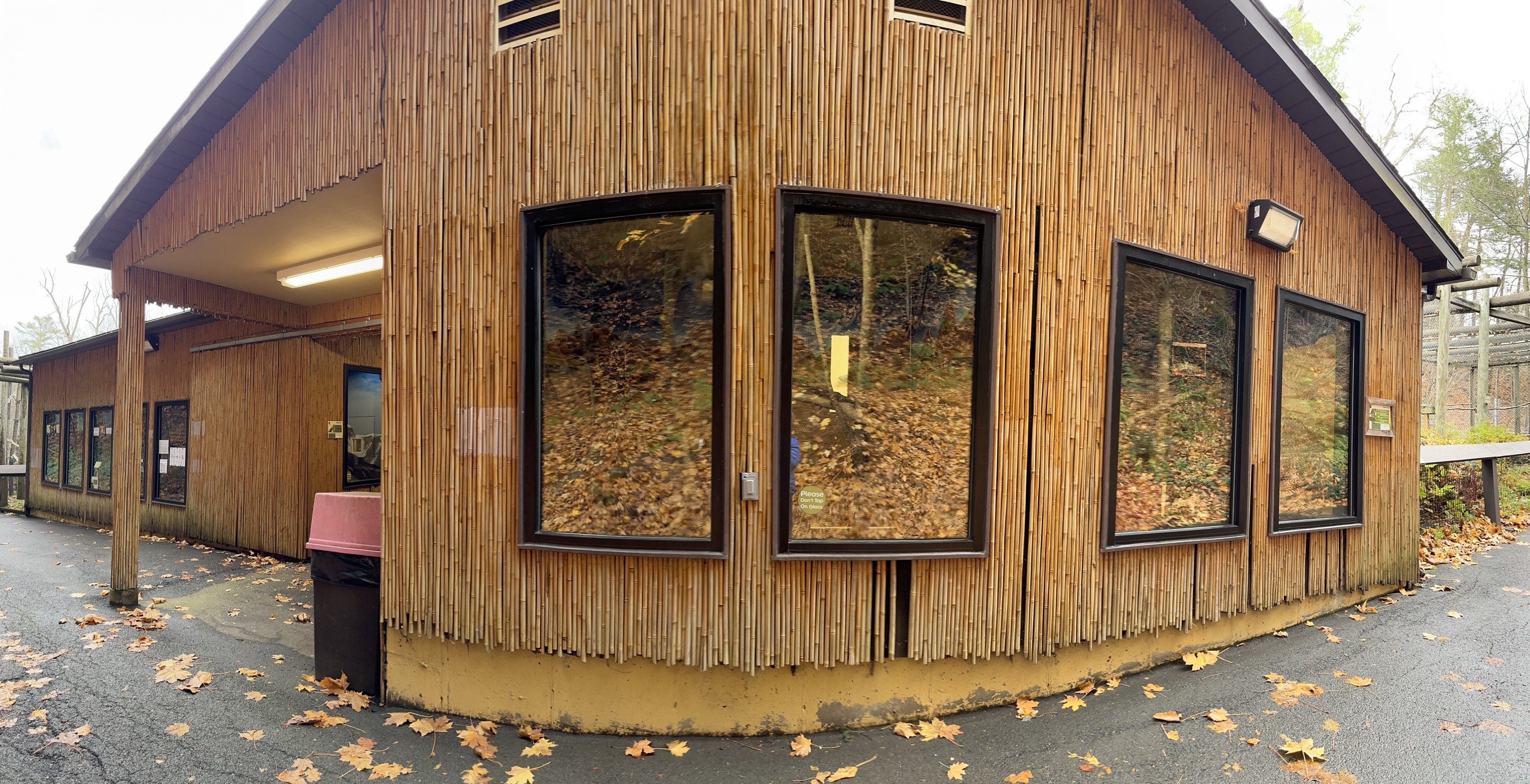 Small mammal building - General view (Right: sand cats, middle: chinchillas, left: fennec foxes)