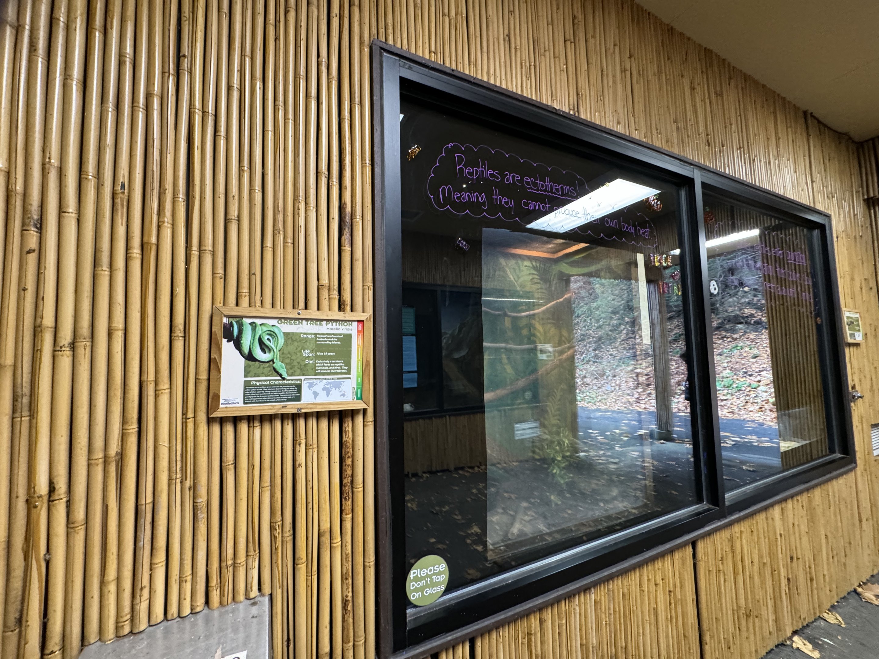 Small mammal building - Green tree python exhibit