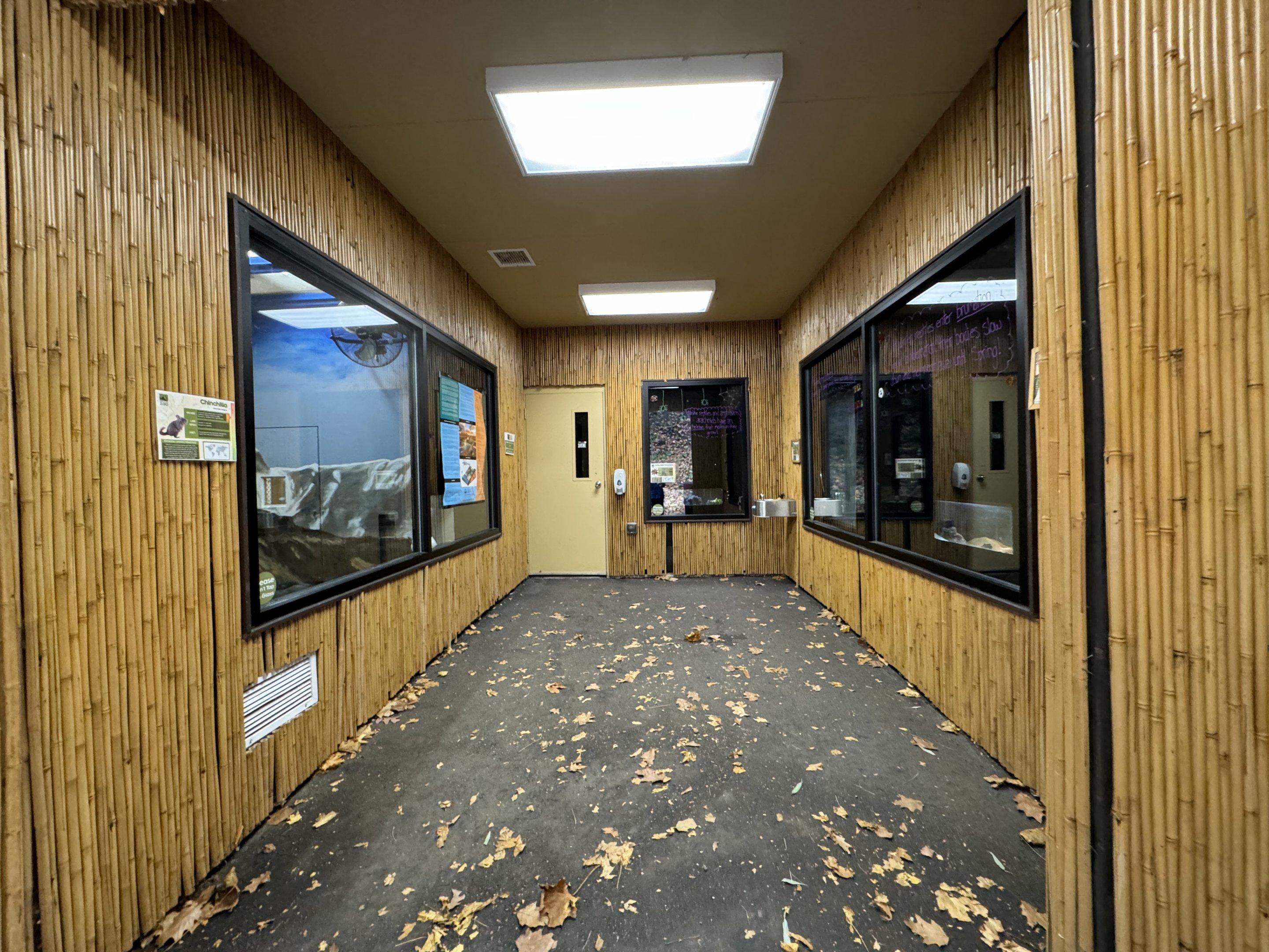 Small mammal building - Interior (Left: chinchillas, straight: tarantula, right: uromastyx & tree python)