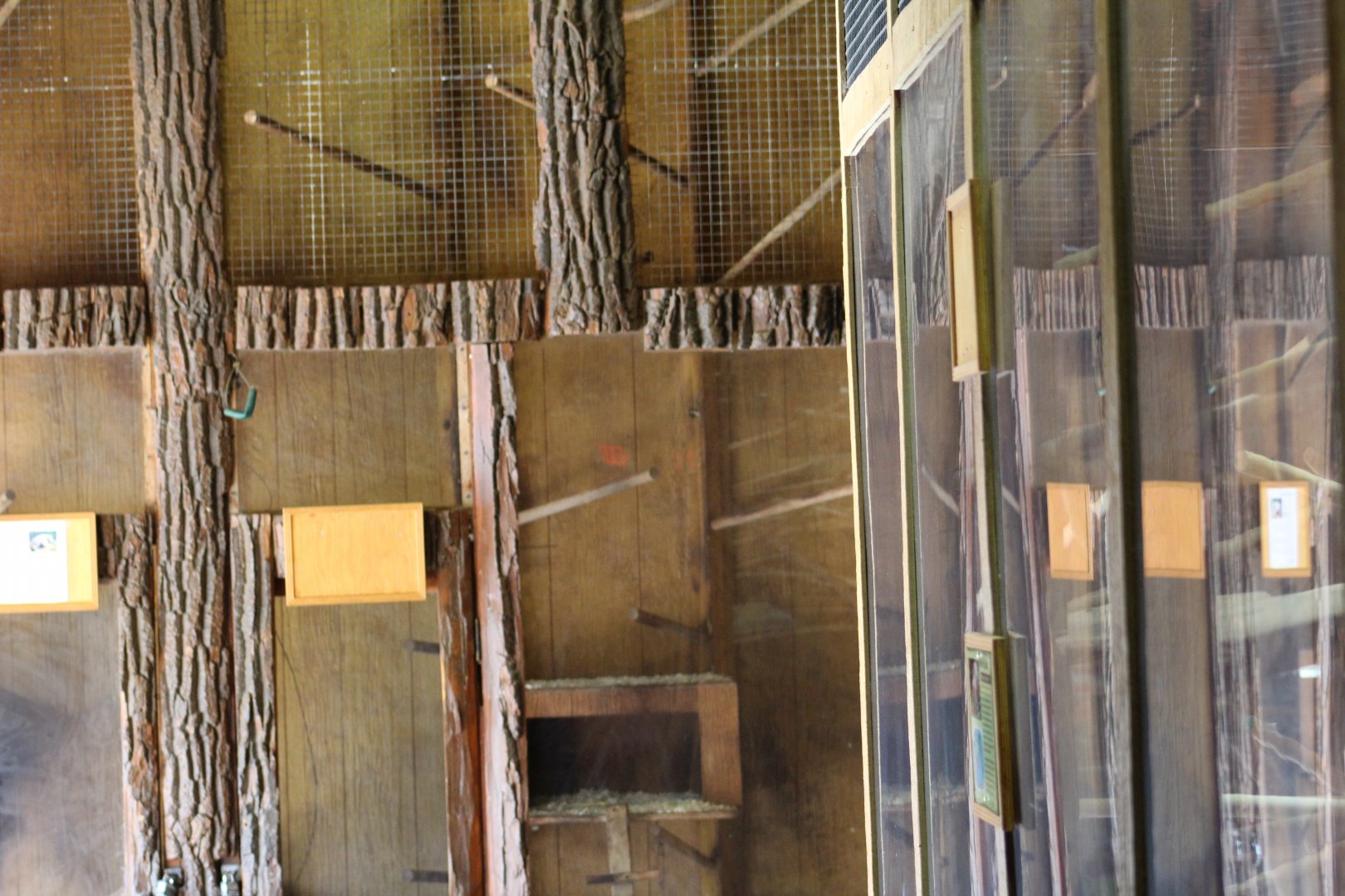 Small Mammal Enclosure