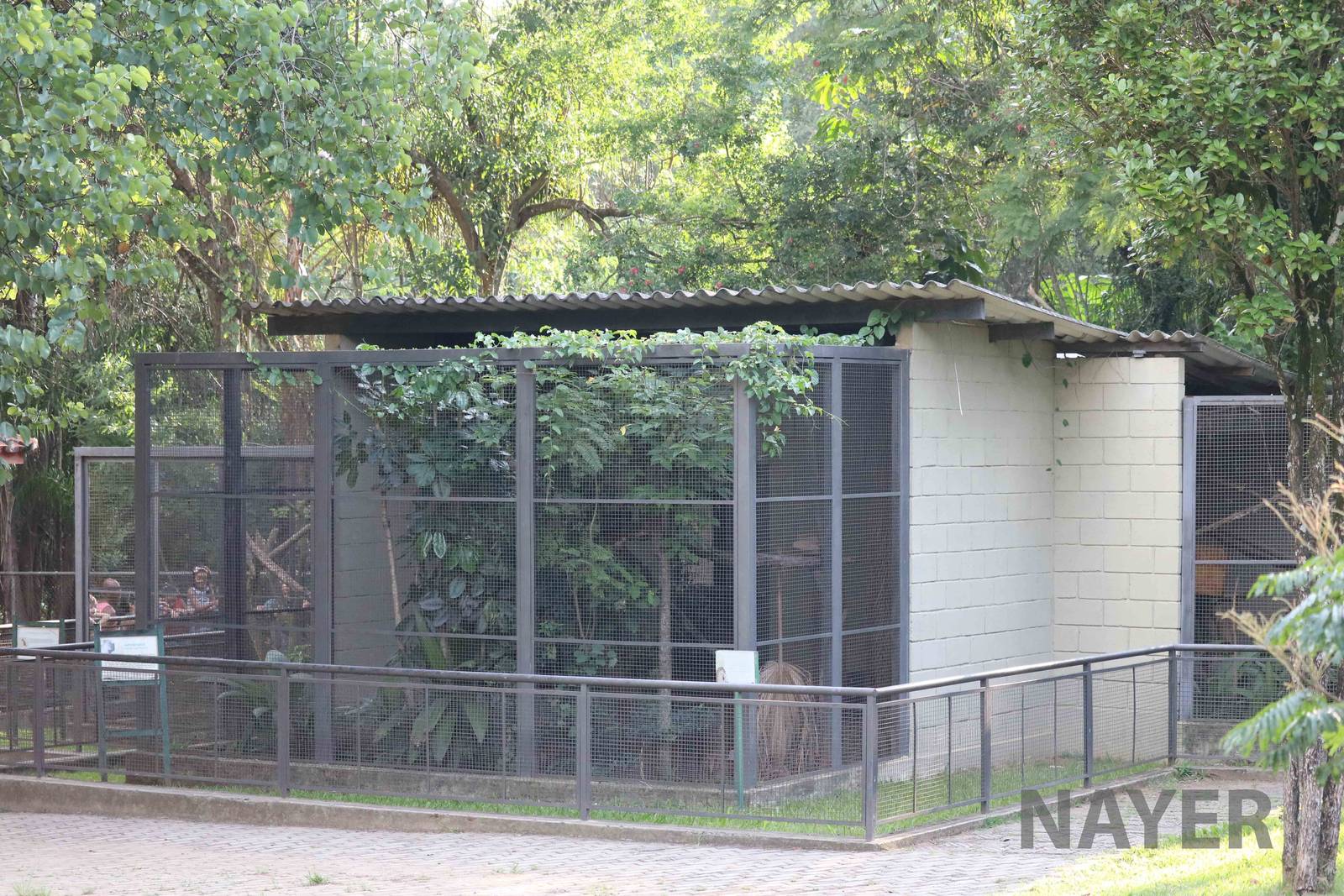 Small mammal enclosures, April 2016