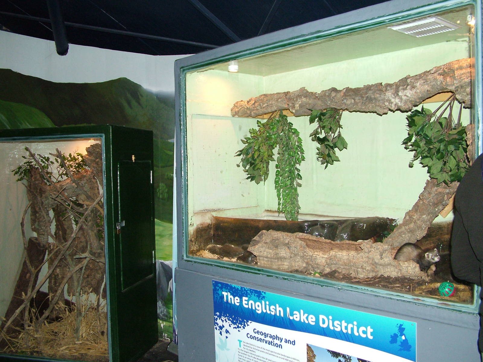 Small Mammal enclosures at Lakes Aquarium 2008