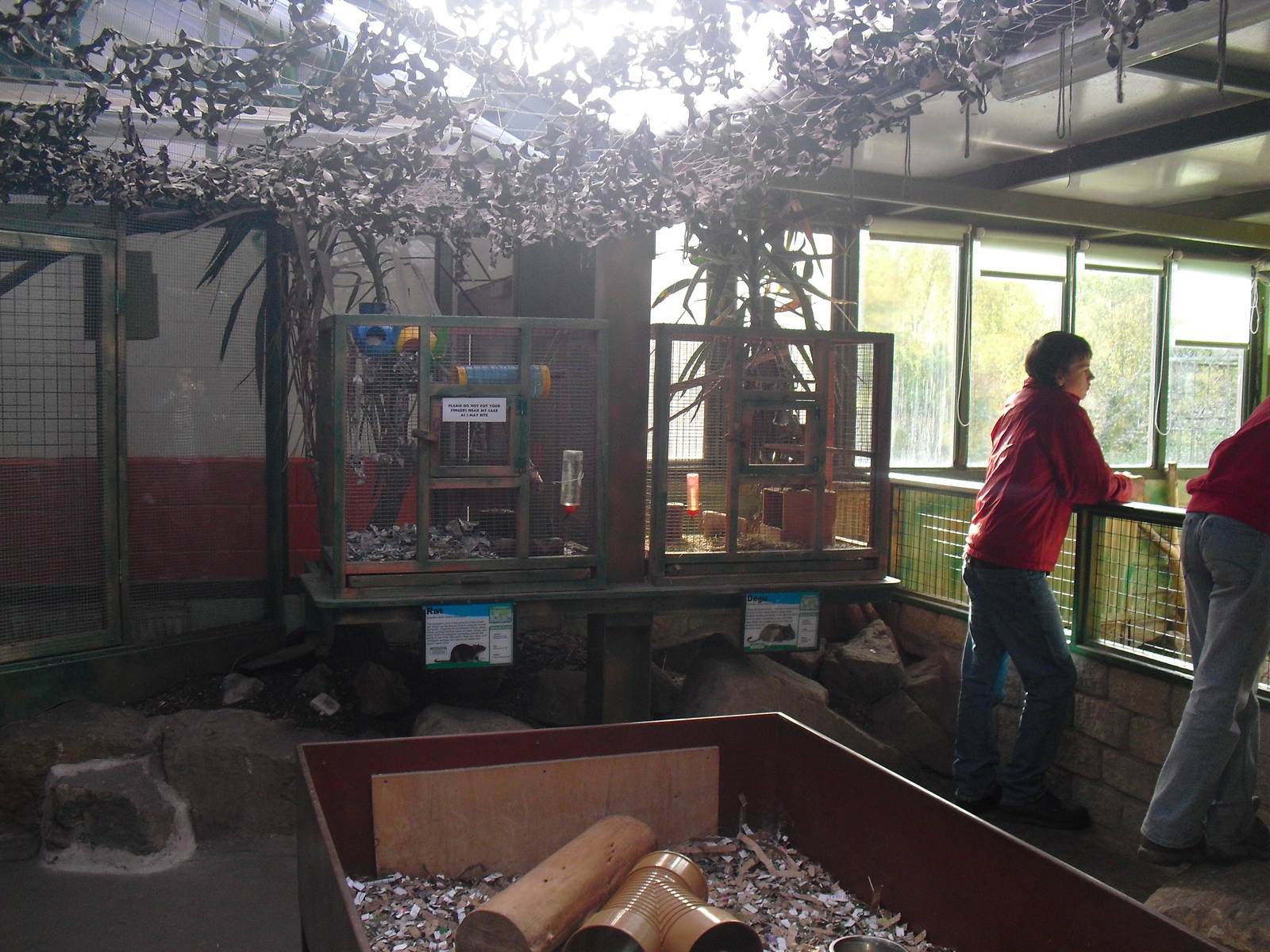 Small Mammal Enclosures (Degu and Rats) - 16/10/2011