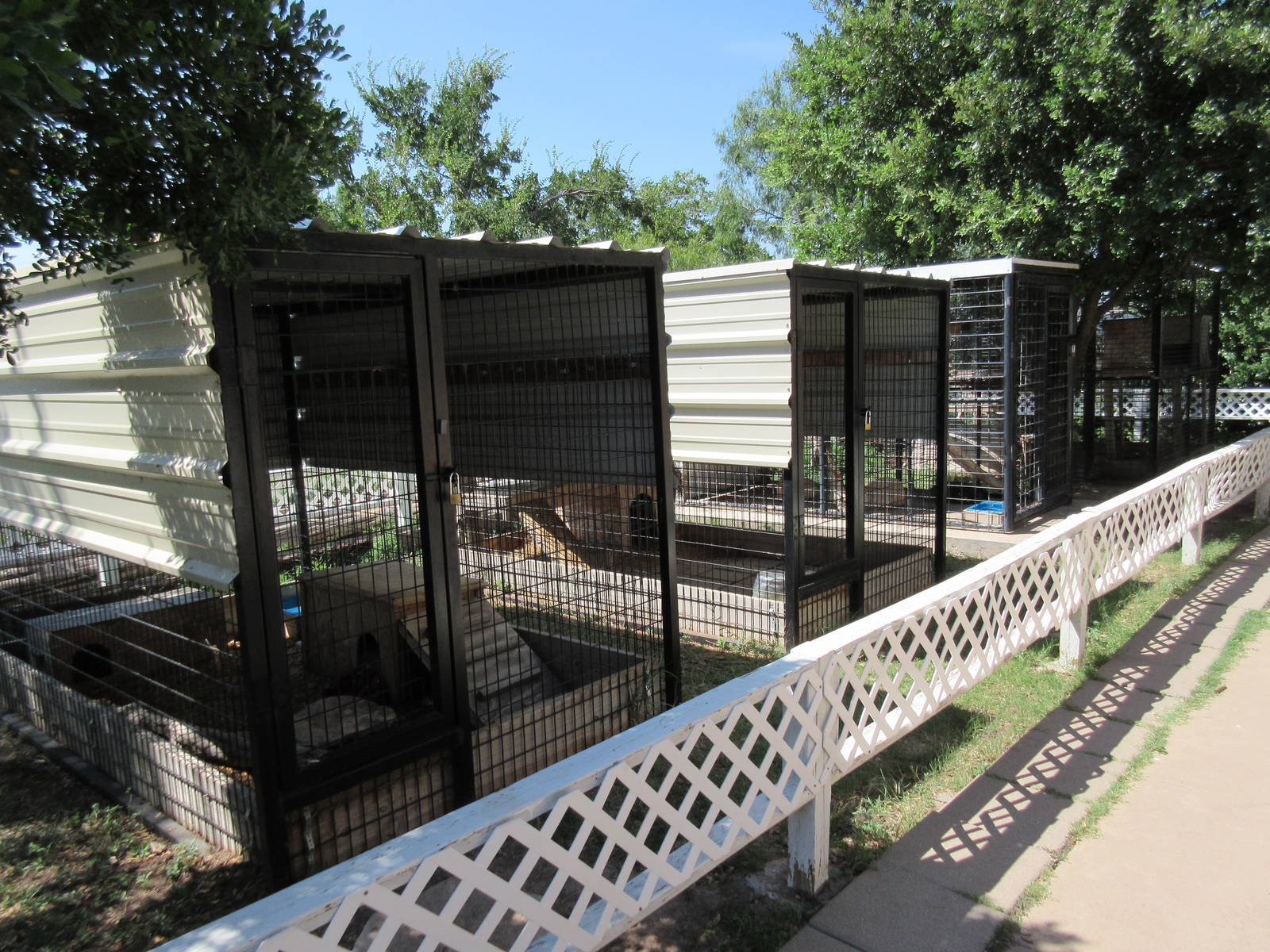 Small Mammal Exhibits (front view)