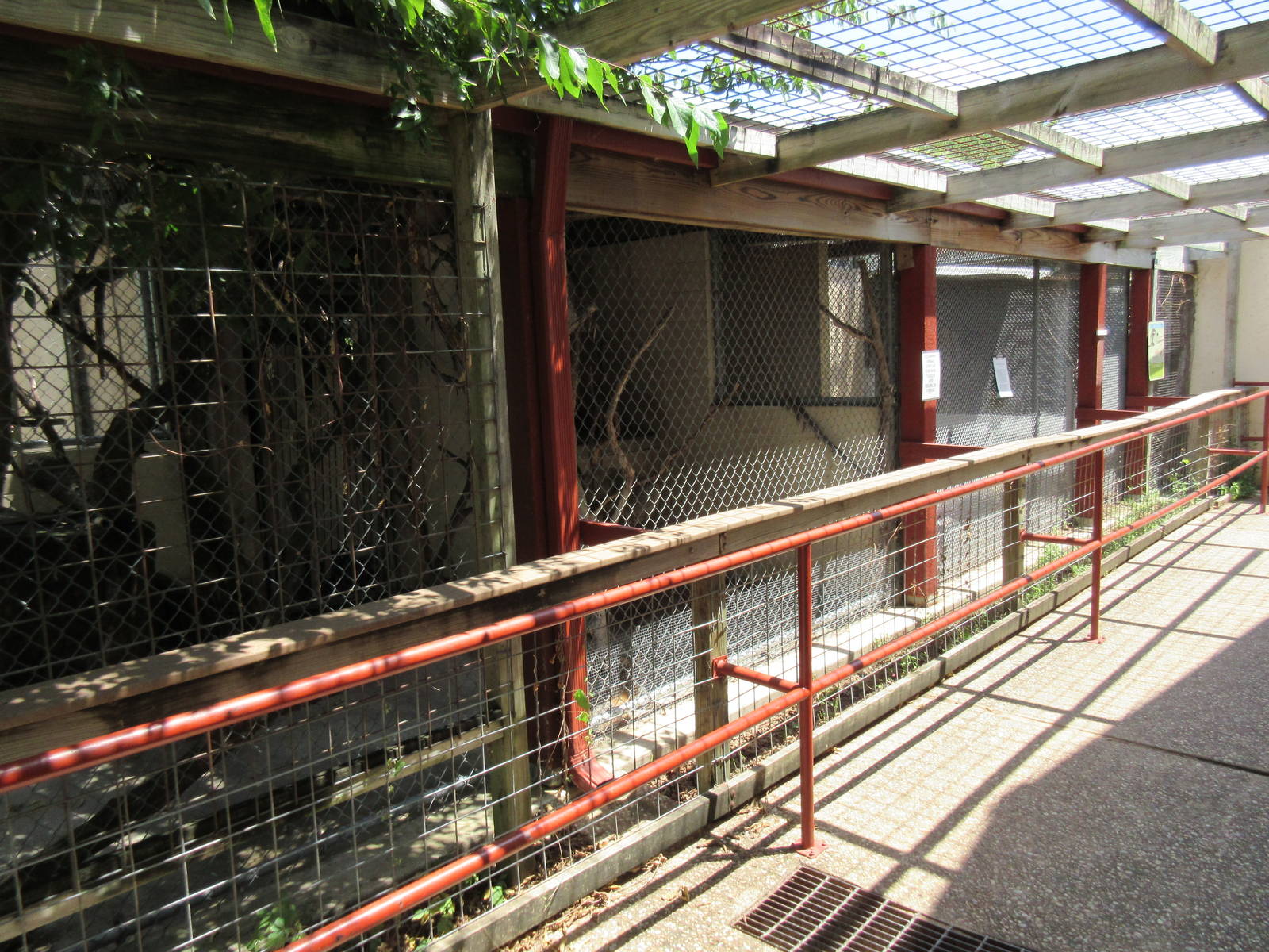 Small Mammal Exhibits (Grey Fox, Prairie Dog + Opossum)