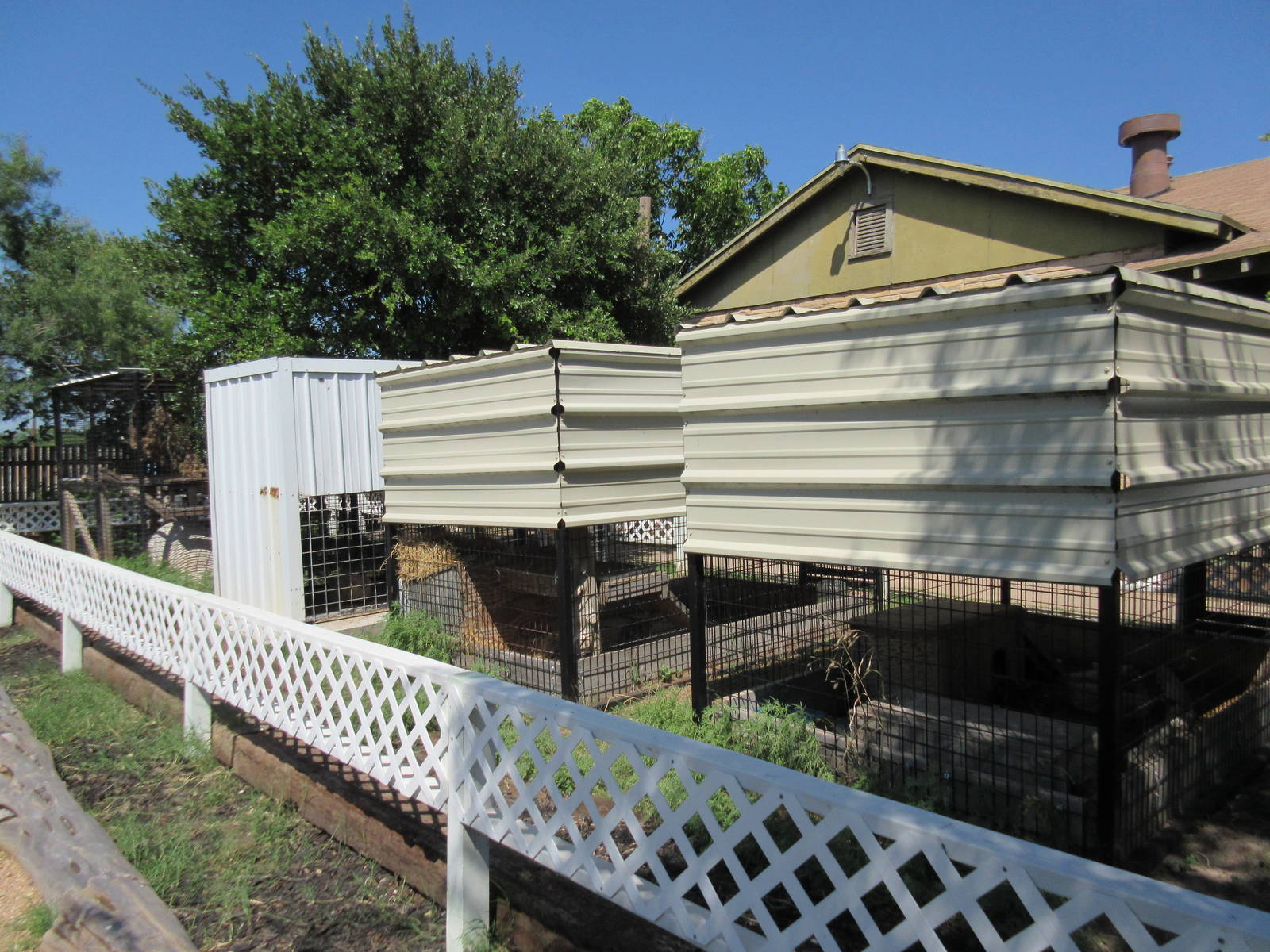 Small Mammal Exhibits (rear view)