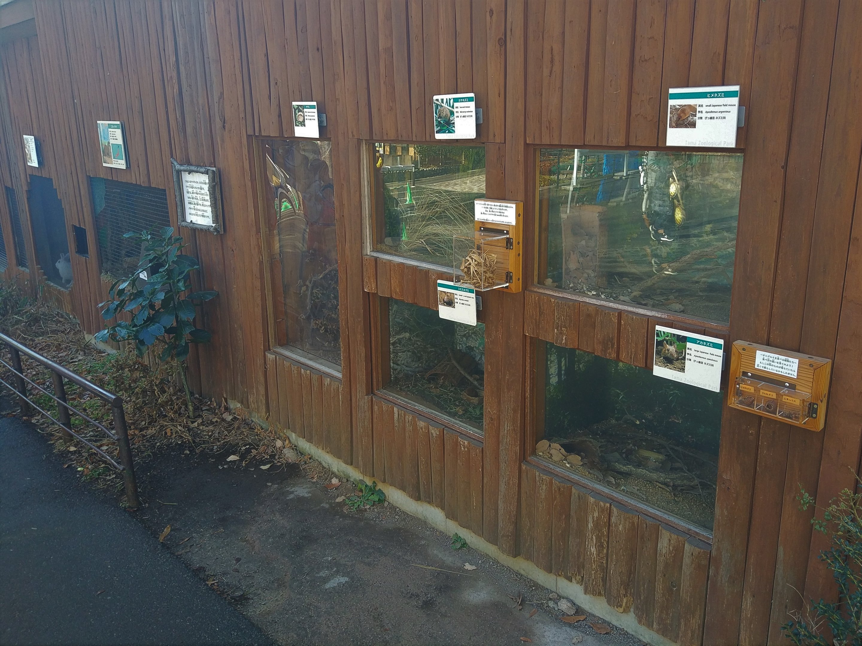 Small Mammal Exhibits