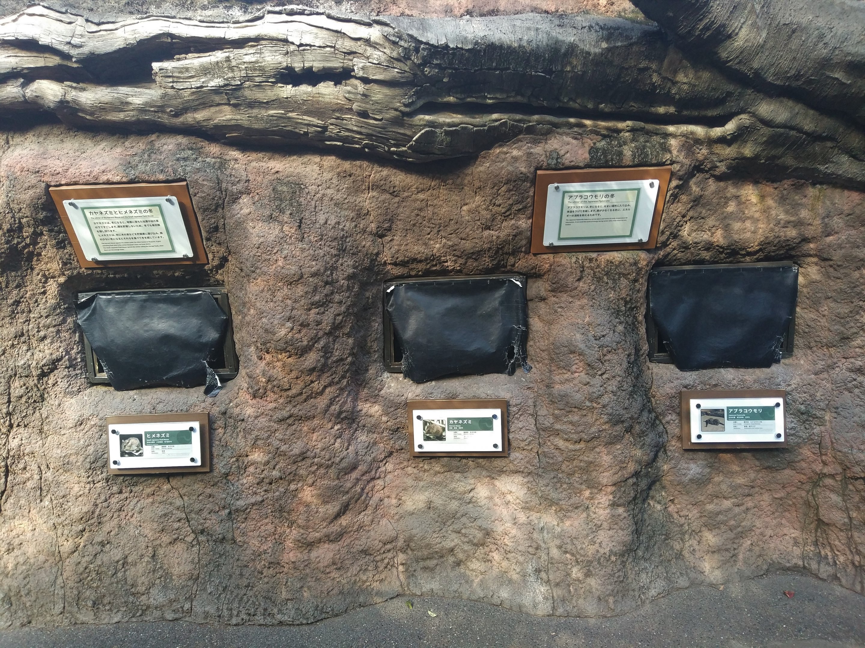 Small Mammal Exhibits